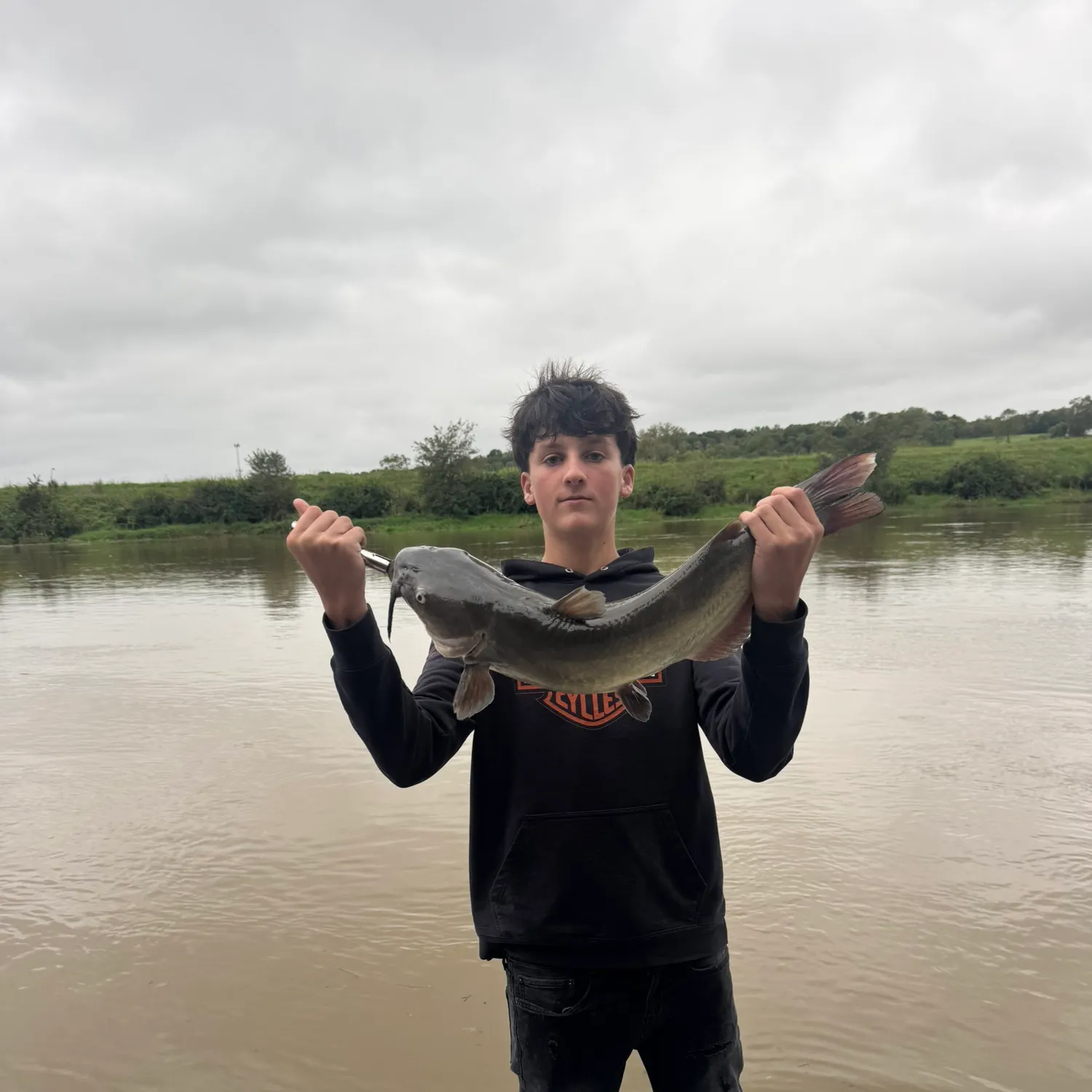 Channel catfish caught on Fishbrain