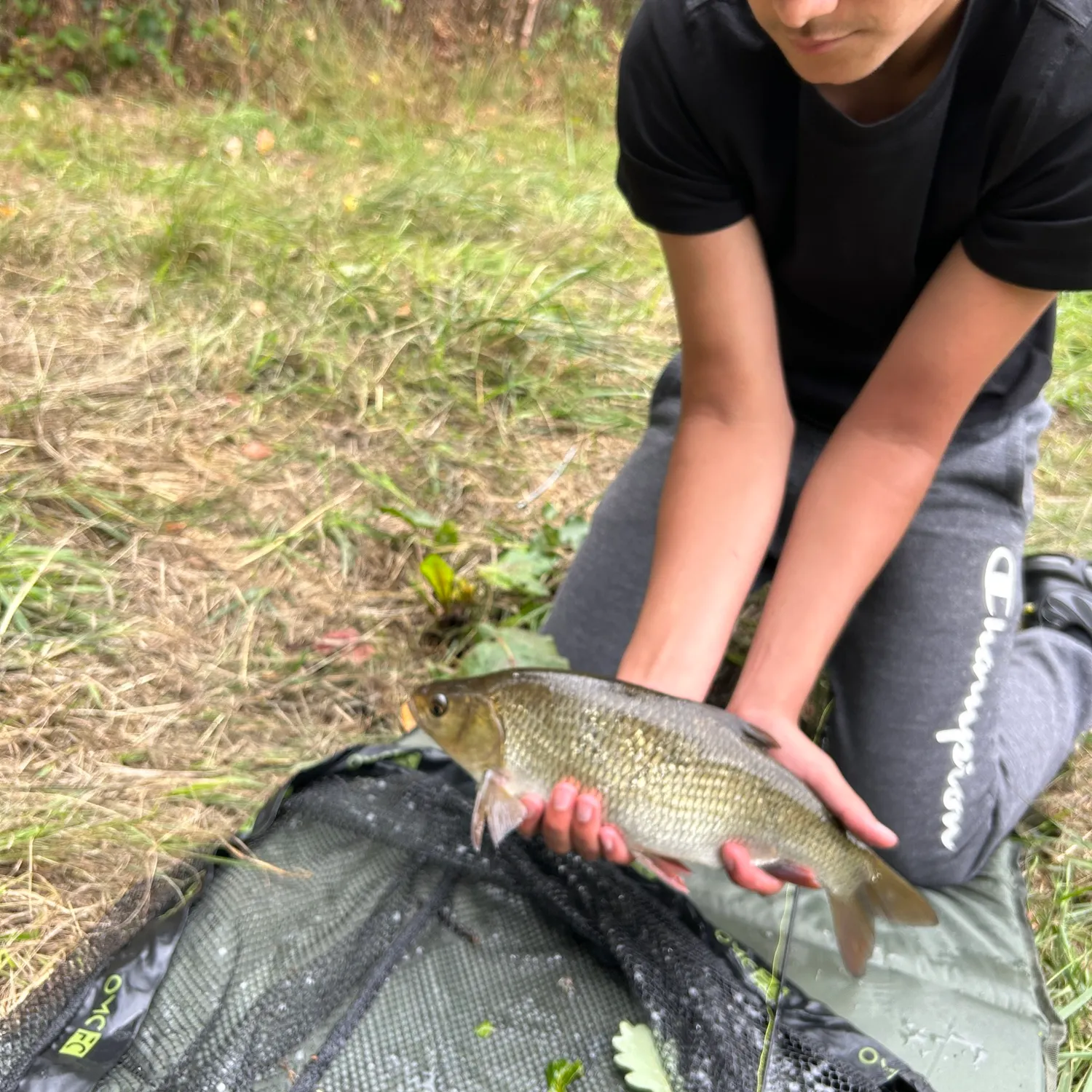 Ide caught on Fishbrain