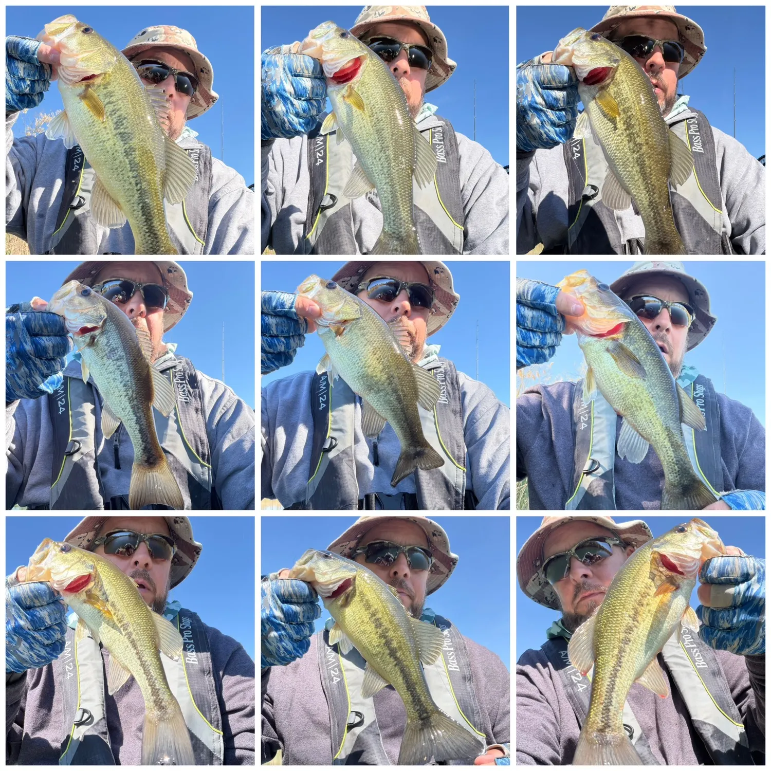 recently logged catches