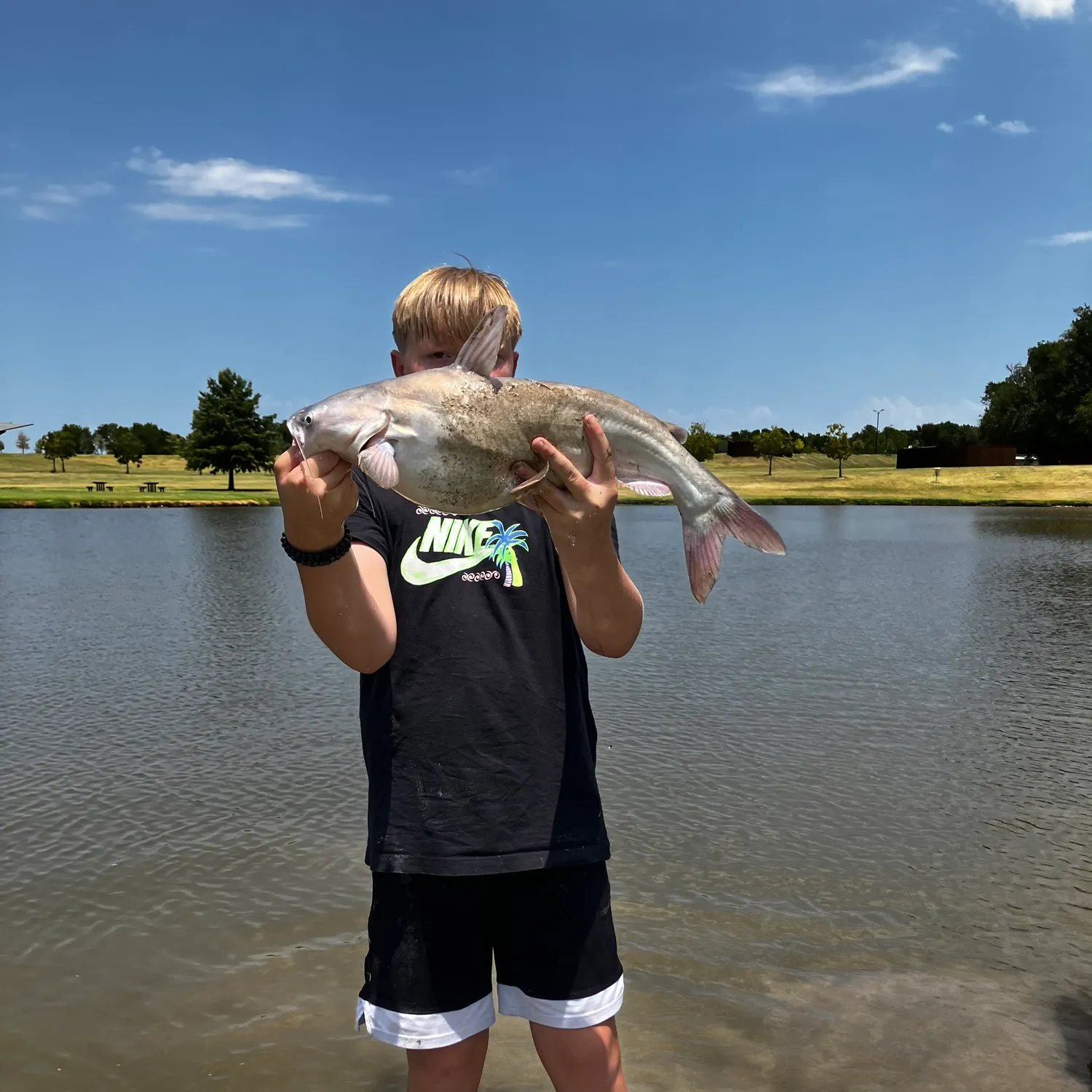 Blue catfish caught on Fishbrain