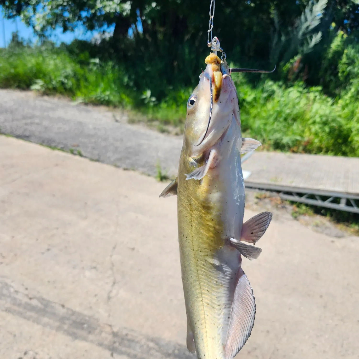 catch