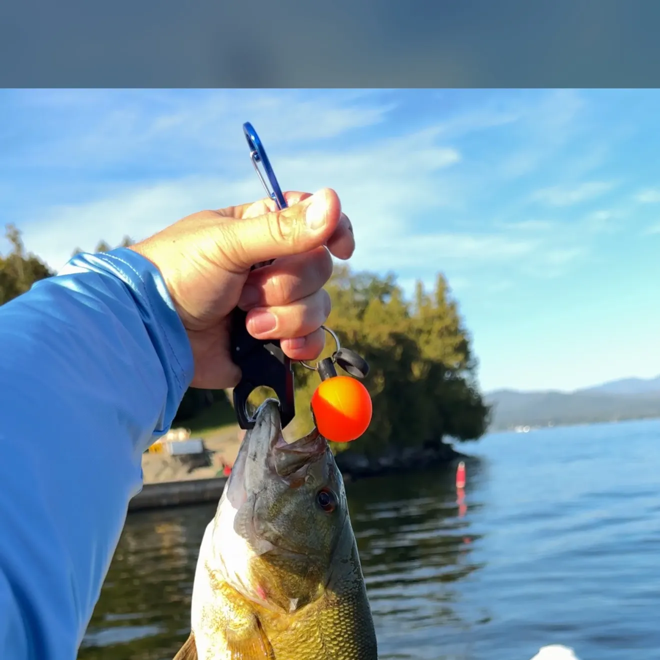 Smallmouth bass caught on Fishbrain