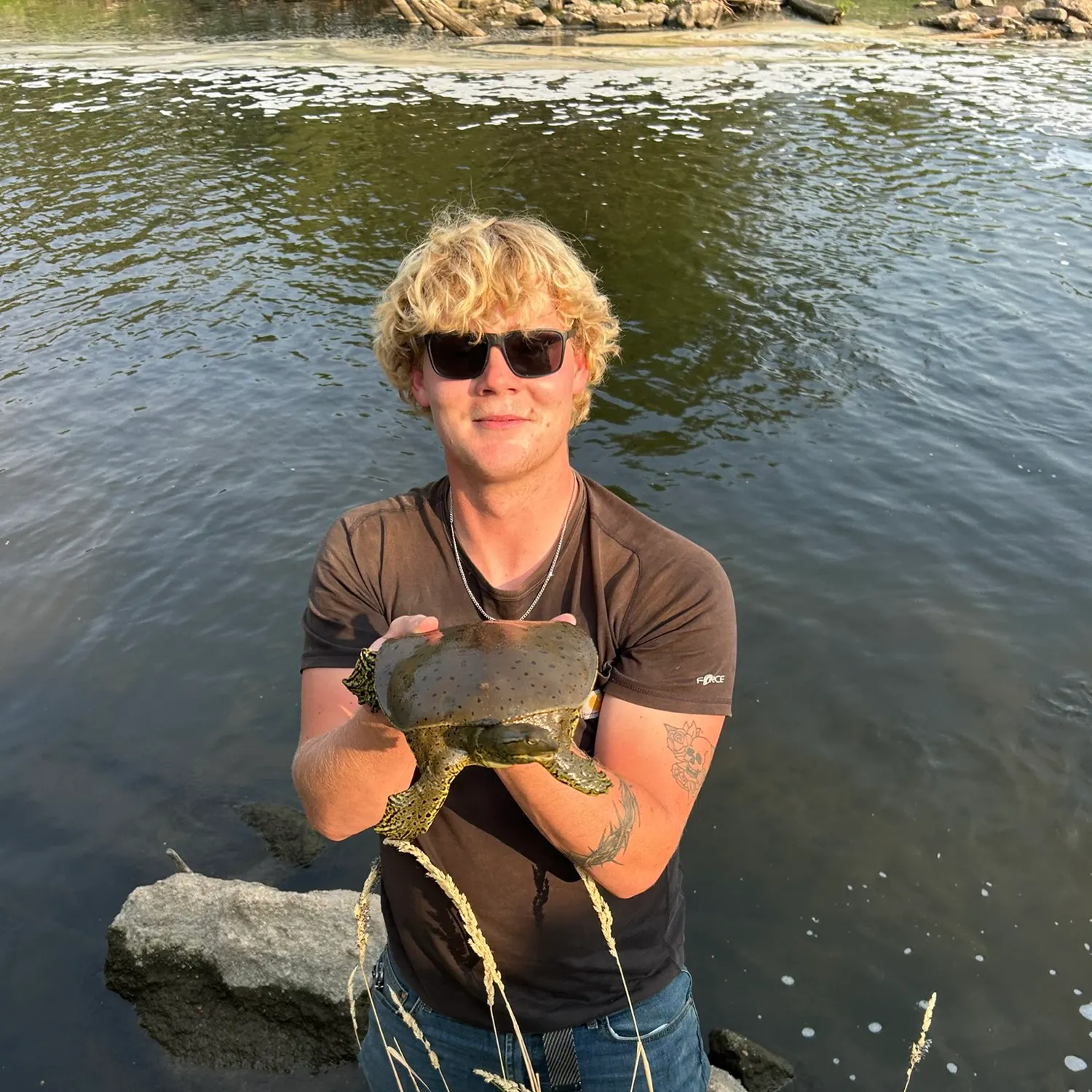 The most recent Spiny softshell turtle catches on Fishbrain