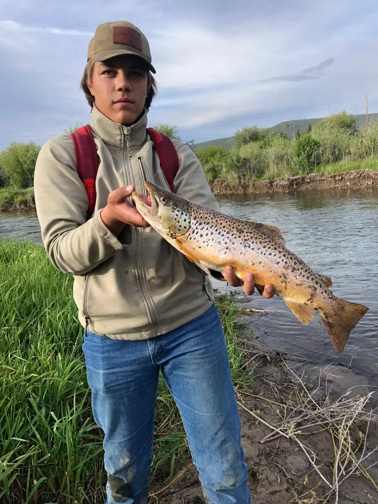 Post image from wbrent6212