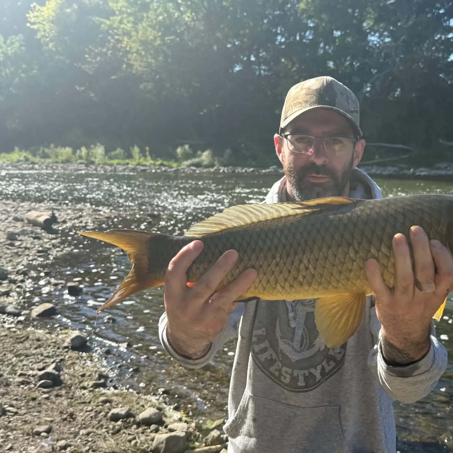 Common carp caught on Fishbrain