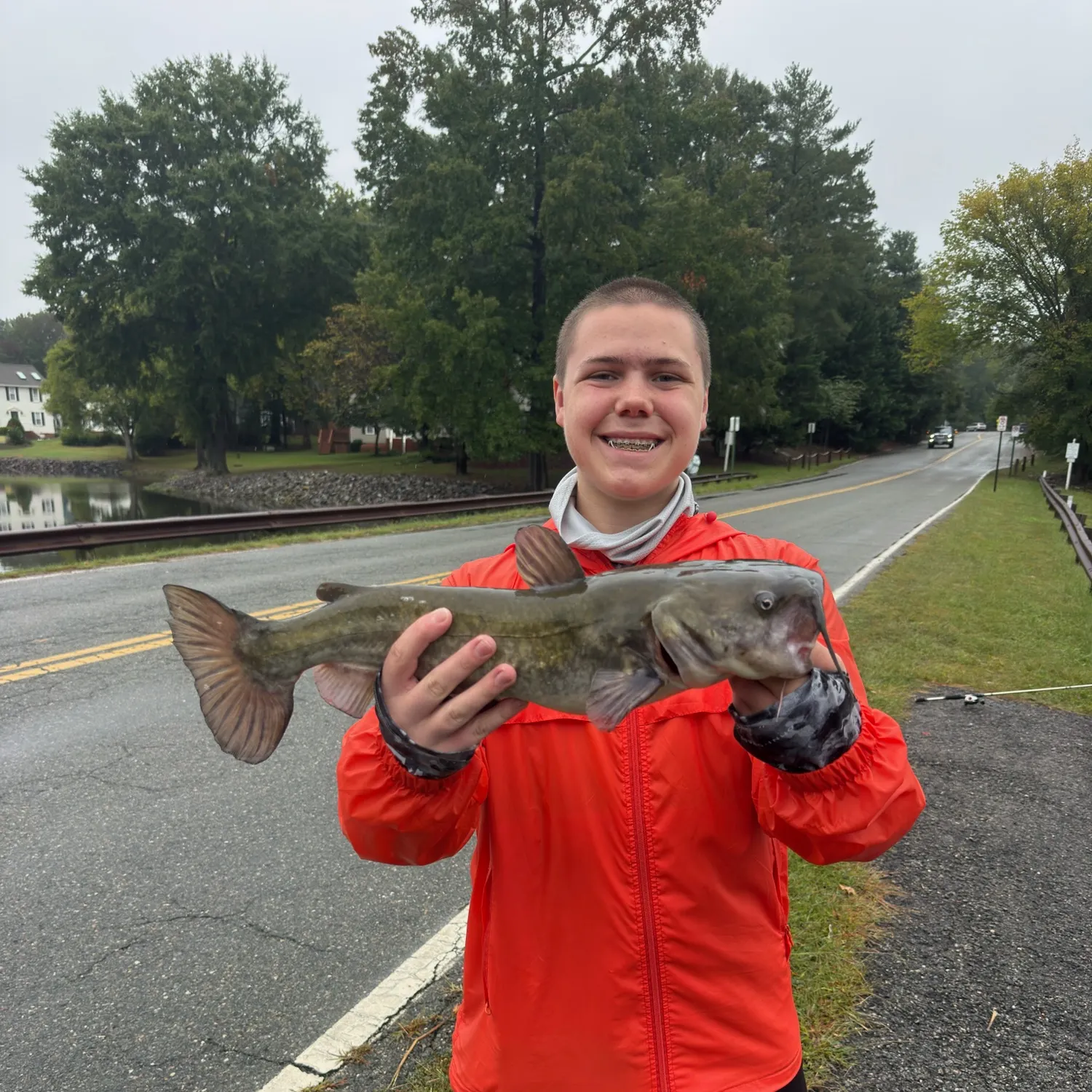 Channel catfish caught on Fishbrain