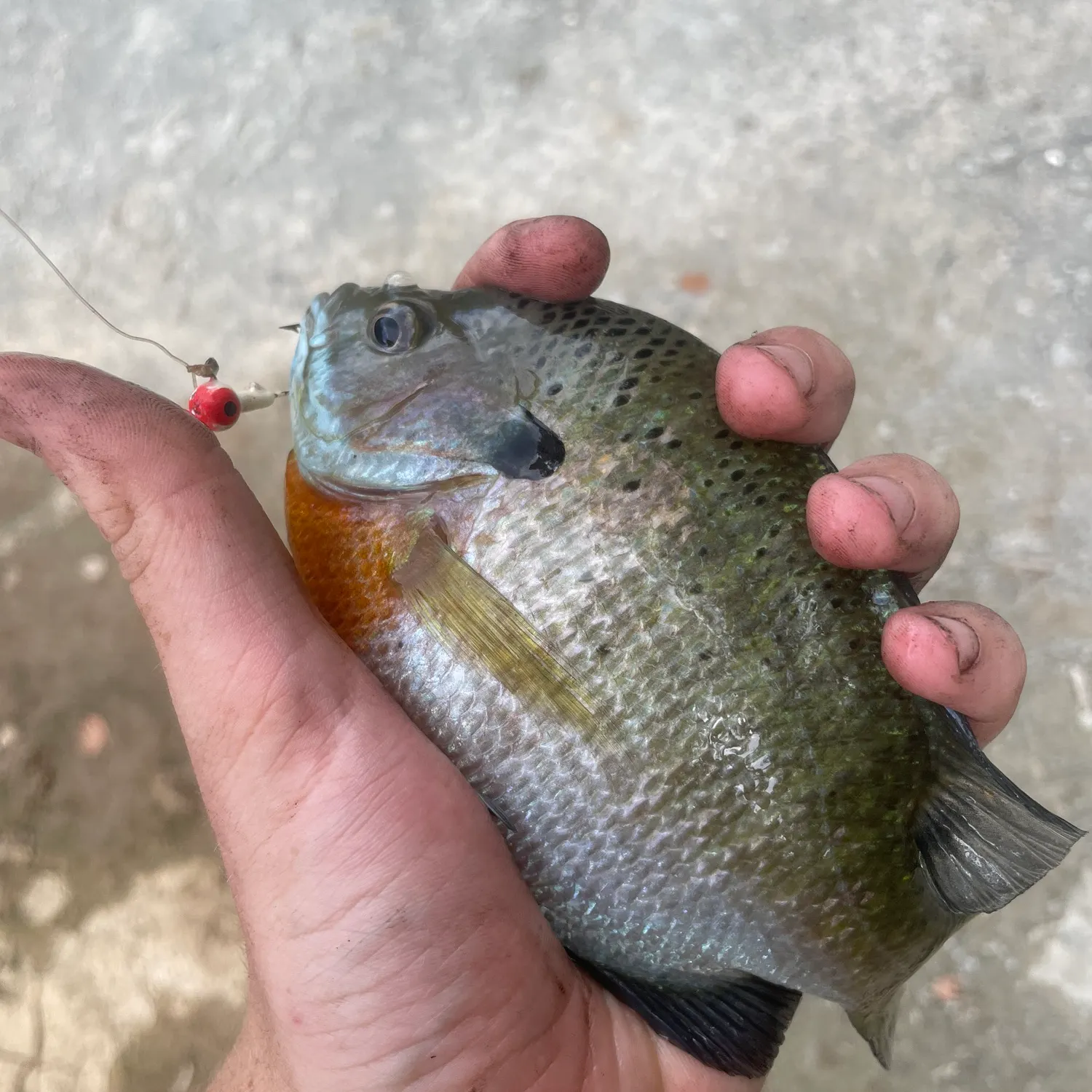 catch