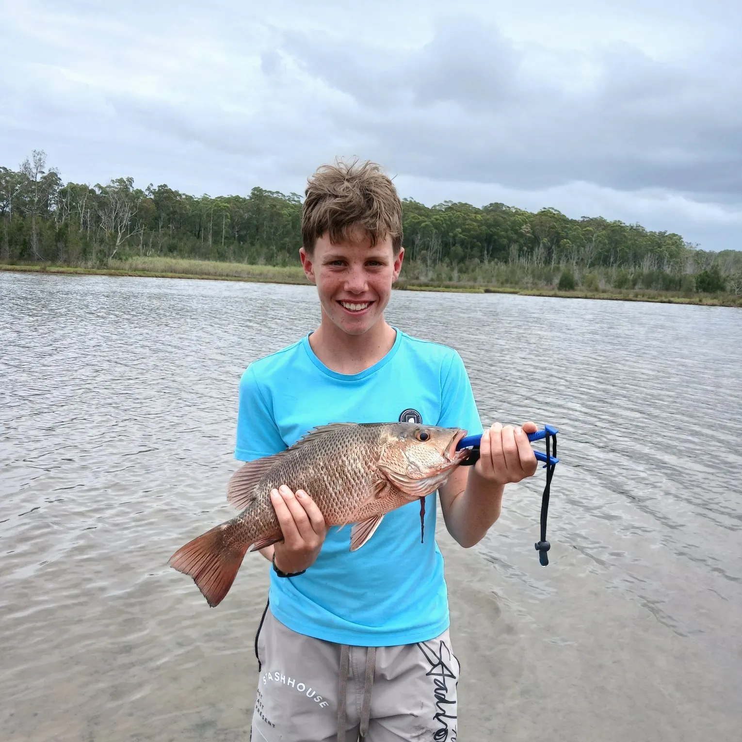 The most recent Mangrove red snapper catches on Fishbrain