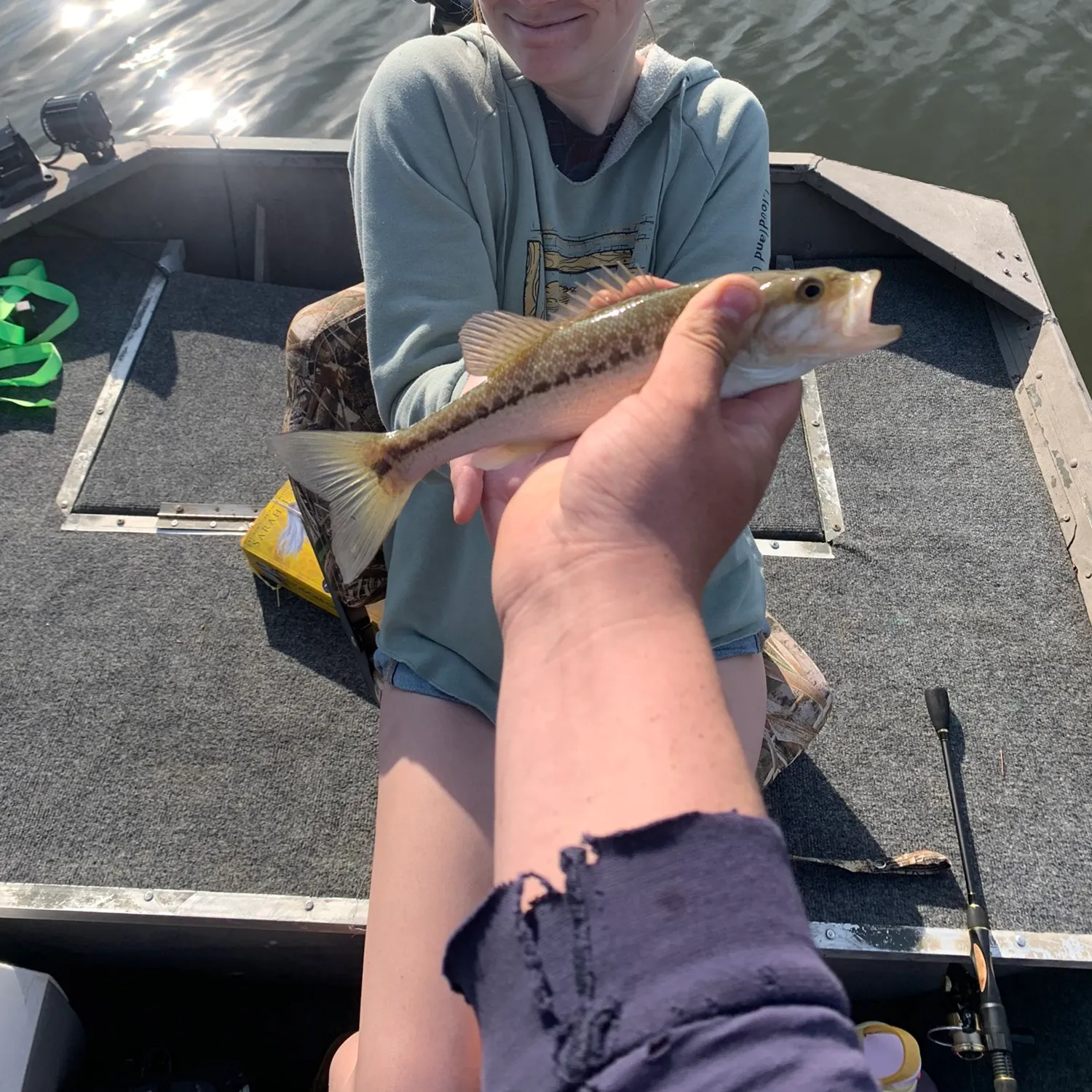 angler catch