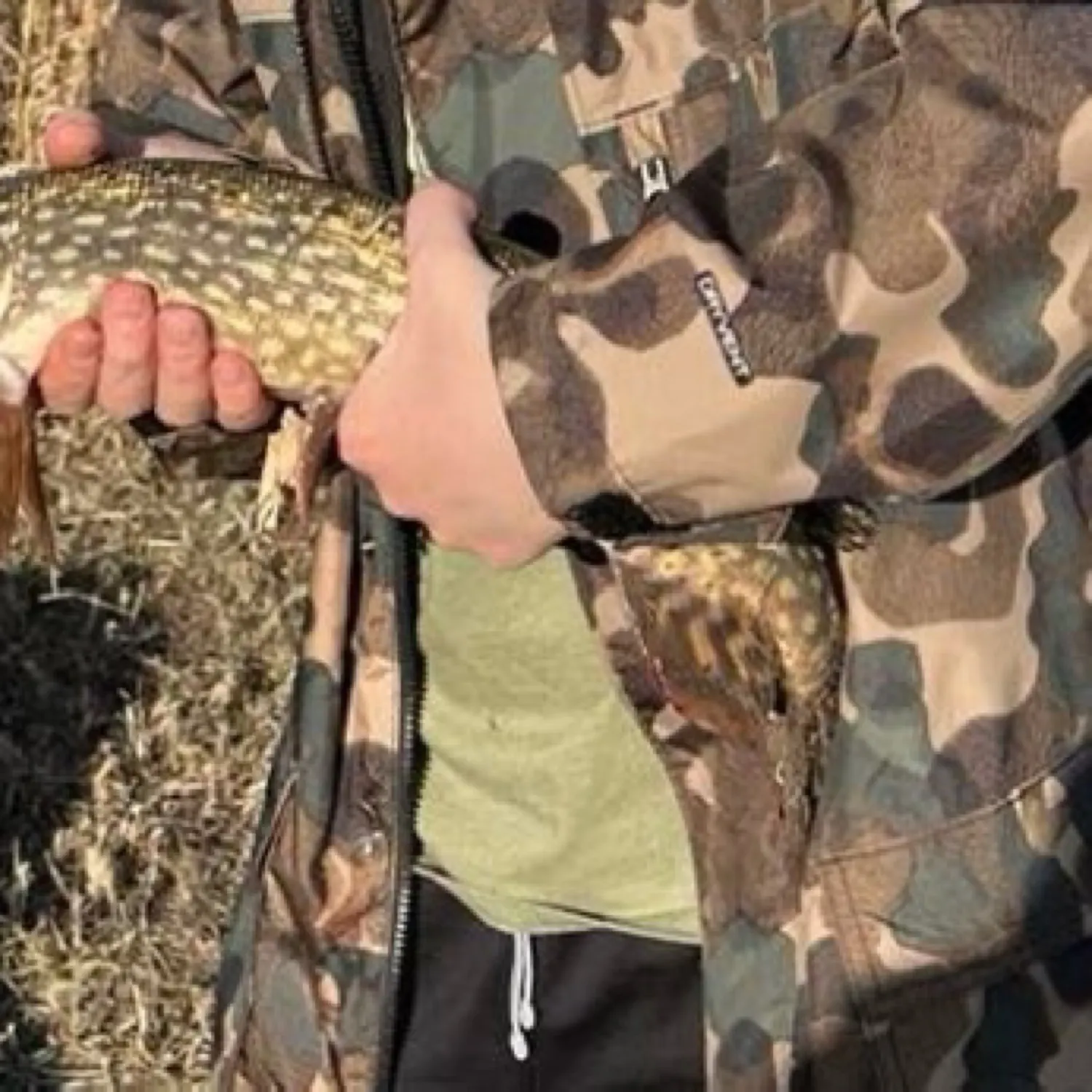 Northern pike caught on Fishbrain