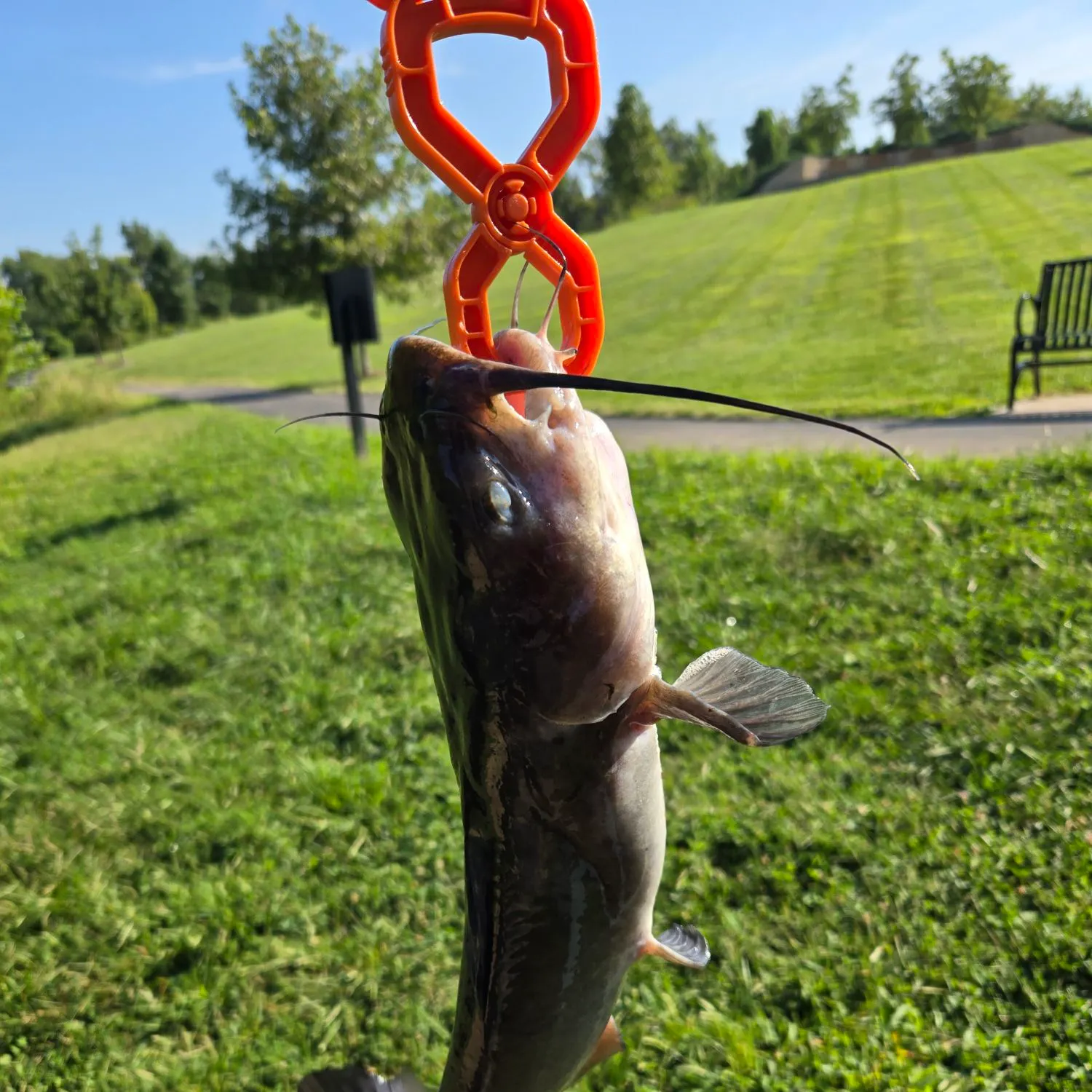 catch