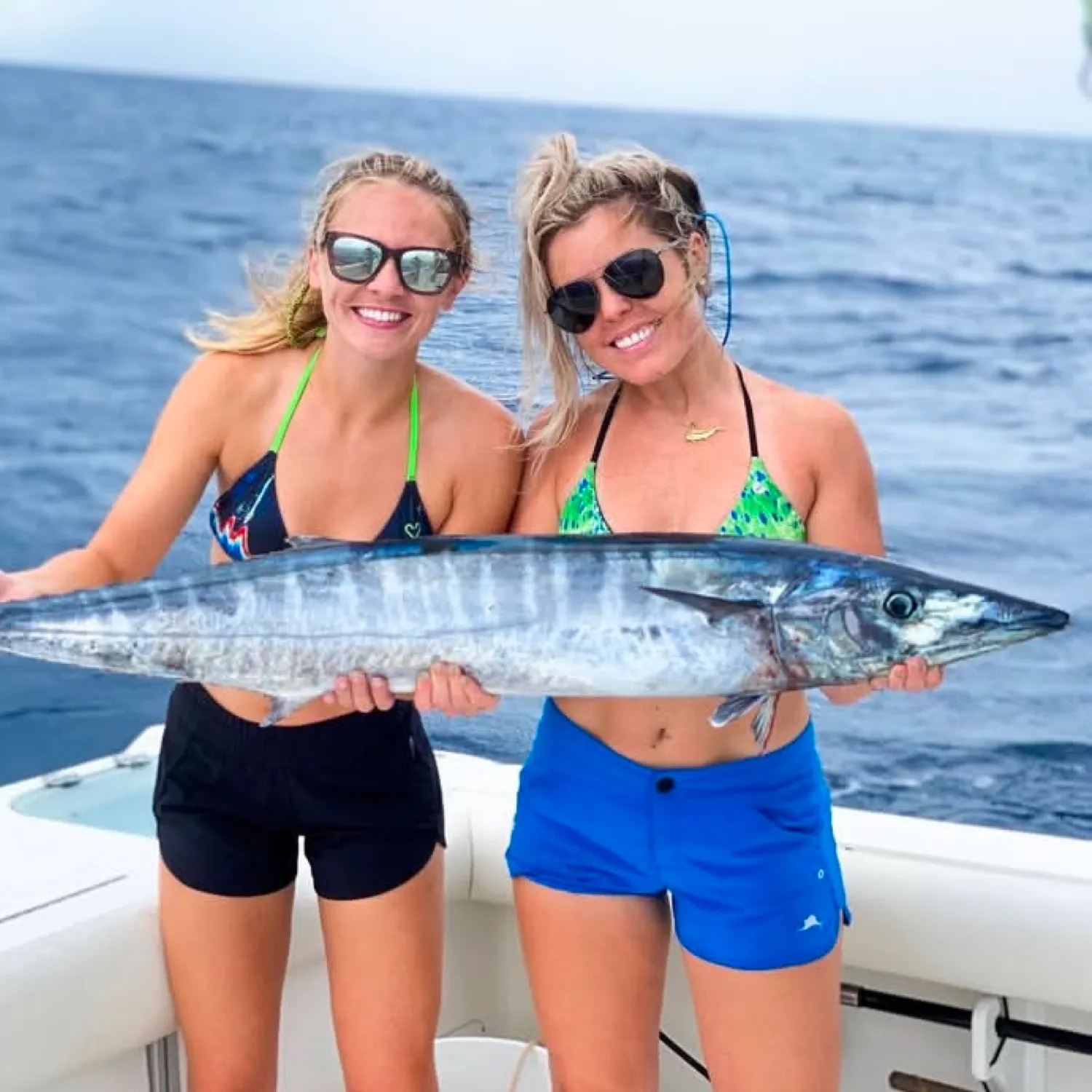 The most recent Wahoo catches on Fishbrain
