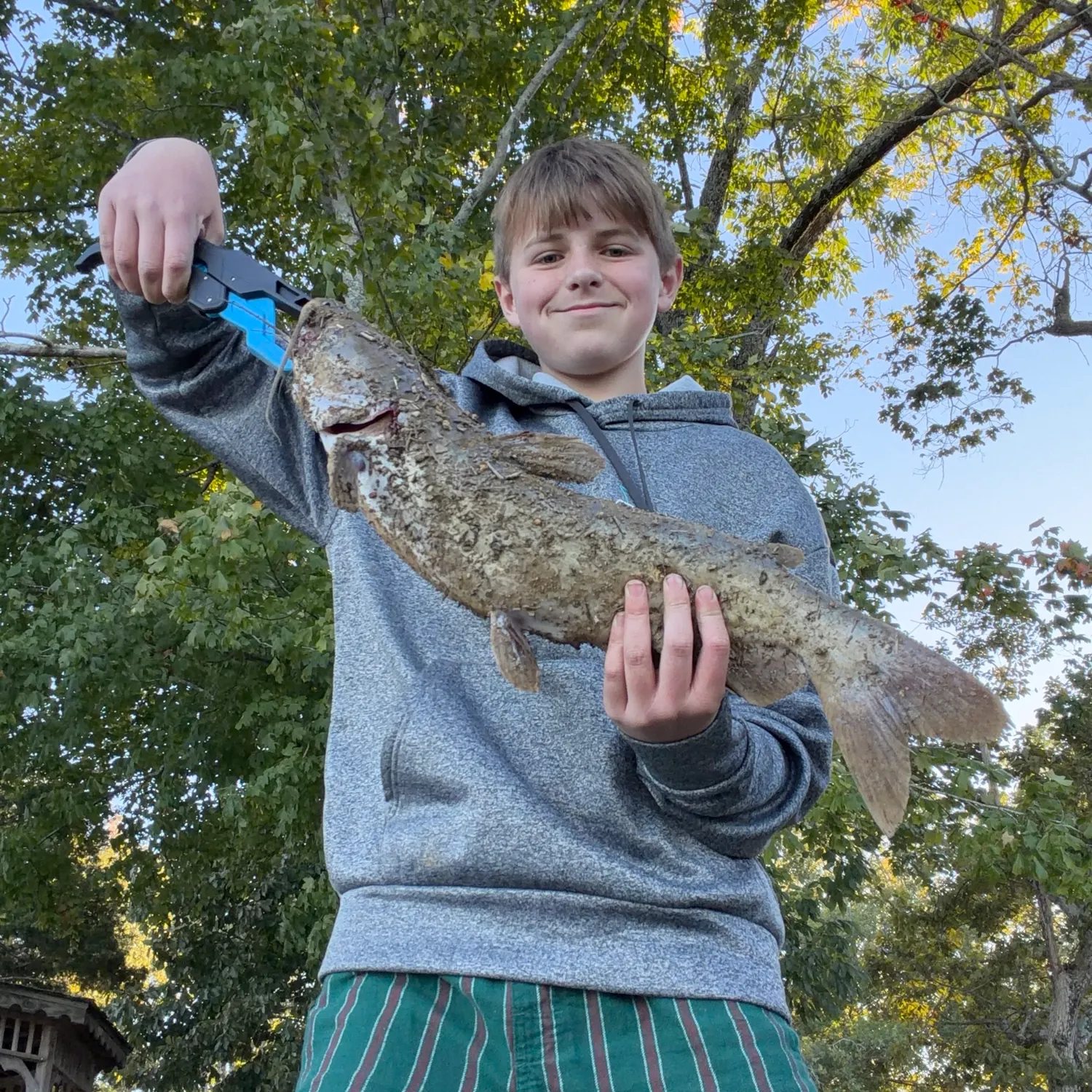 Channel catfish caught on Fishbrain
