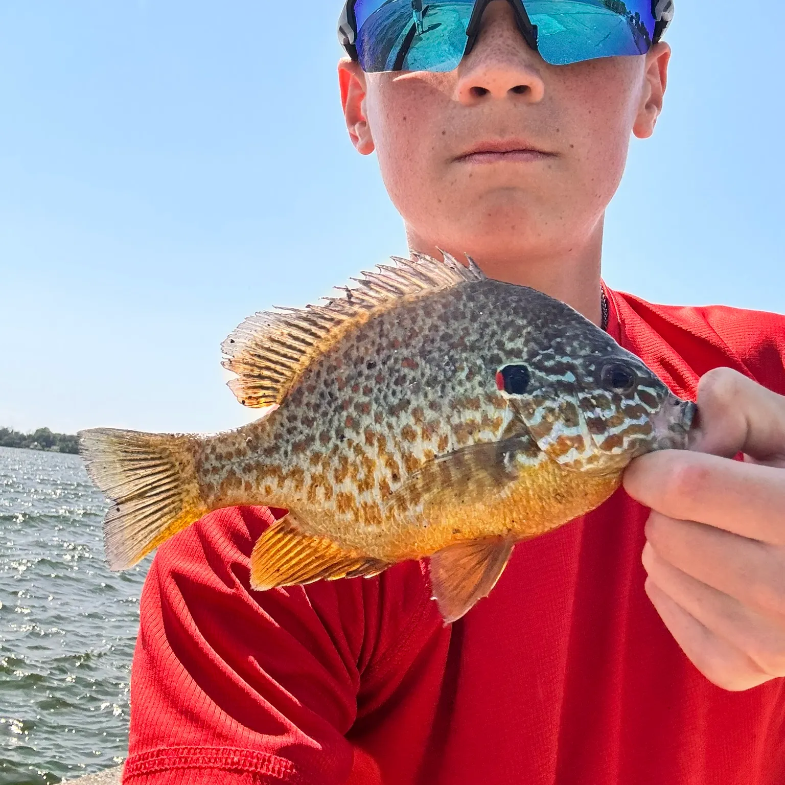 The most recent Pumpkingill hybrid catches on Fishbrain