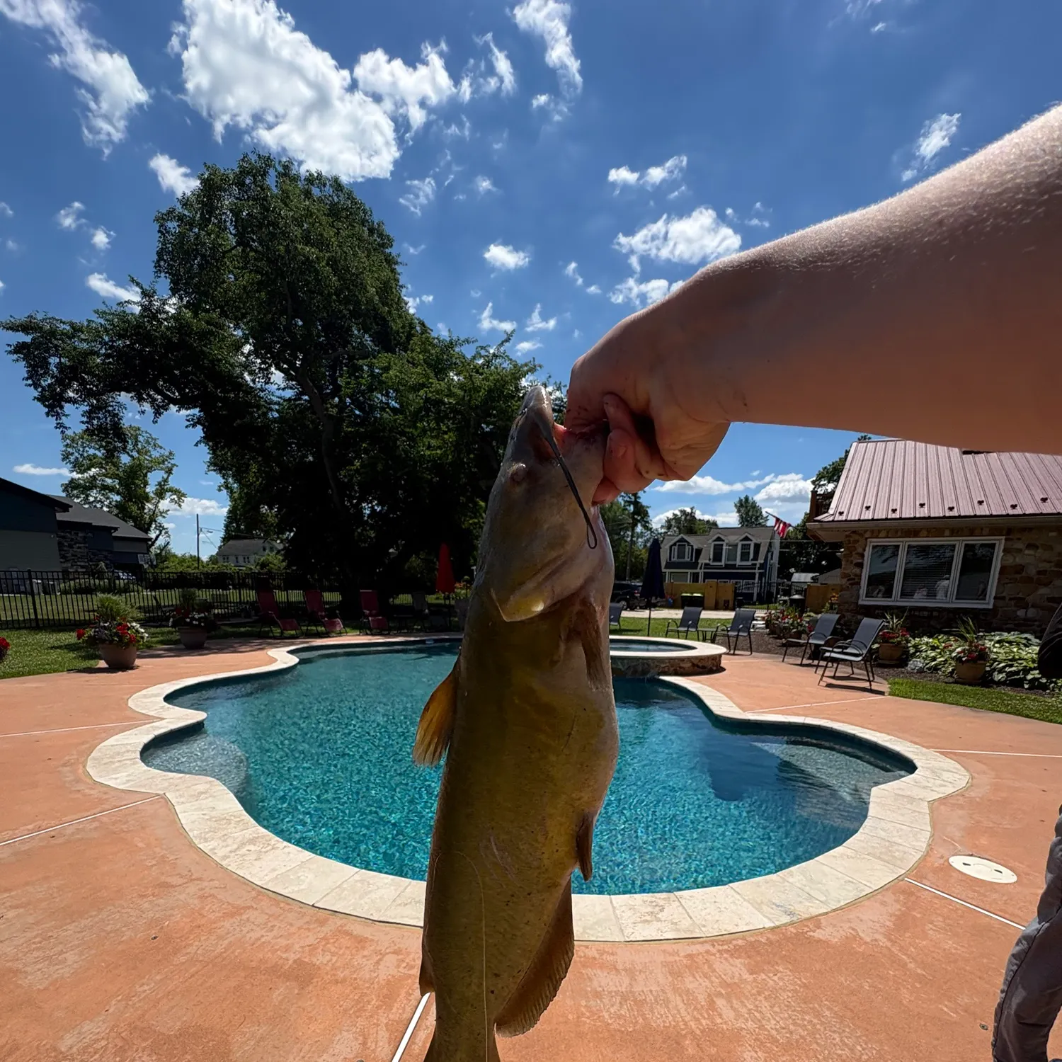 catch