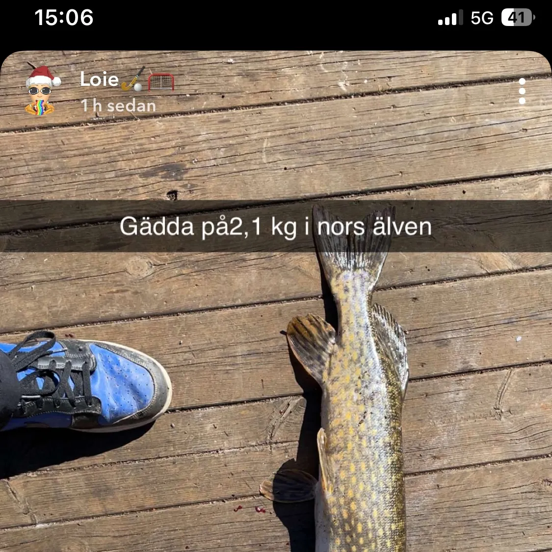 recently logged catches