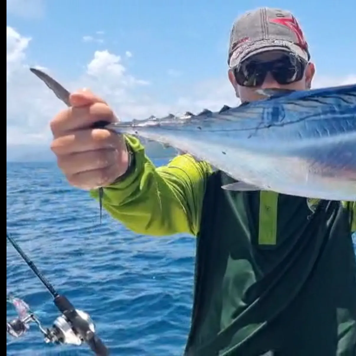 The most recent Kawakawa catches on Fishbrain