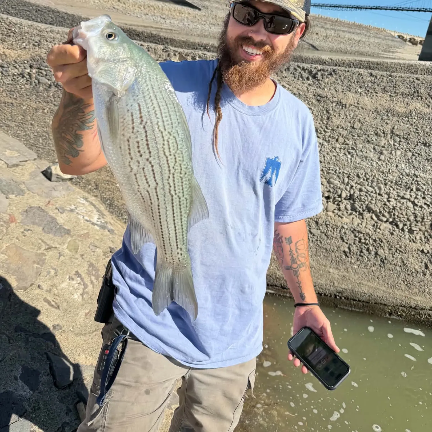 Wiper caught on Fishbrain