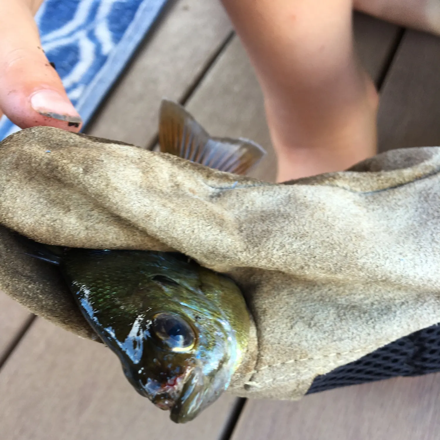 catch