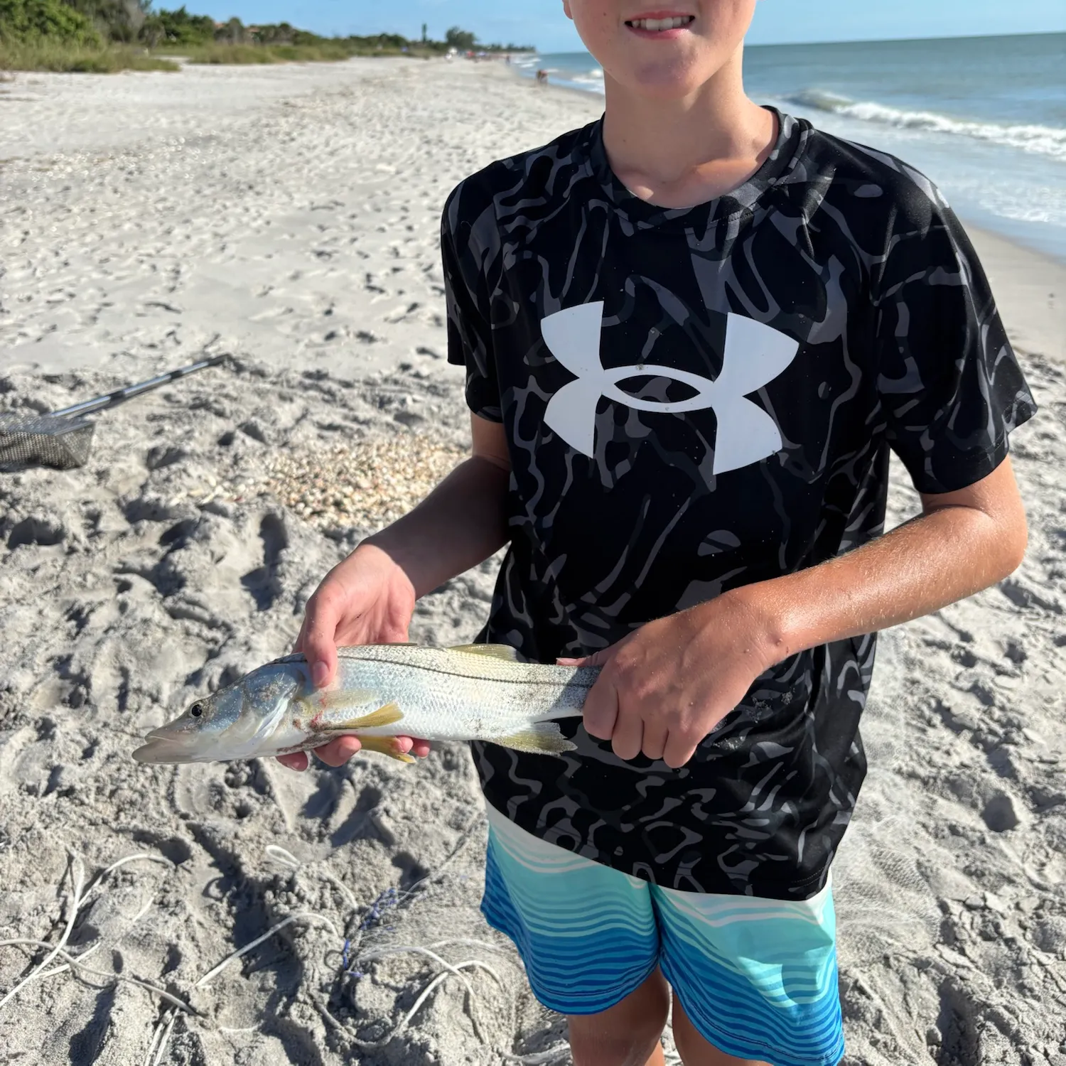 Common snook caught on Fishbrain