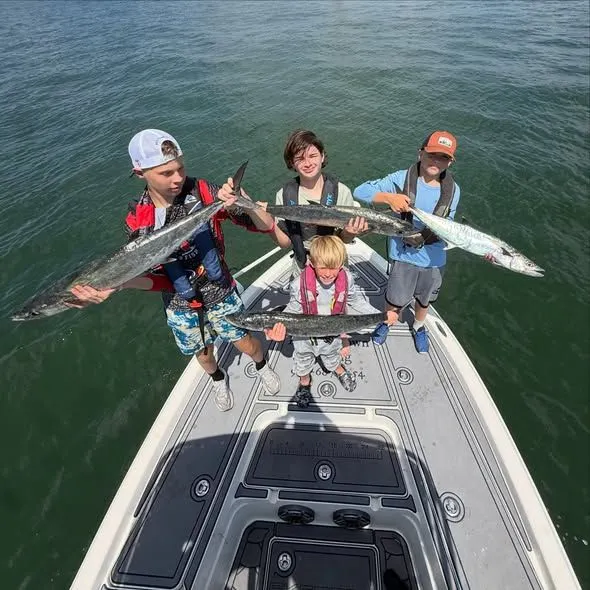The most recent Kanadi kingfish catches on Fishbrain