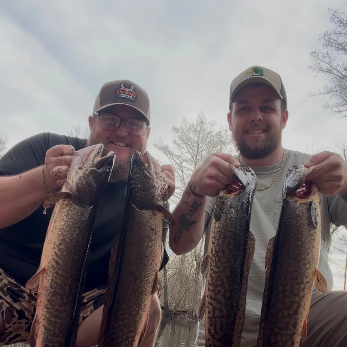 The most recent Eyetail bowfin catches on Fishbrain