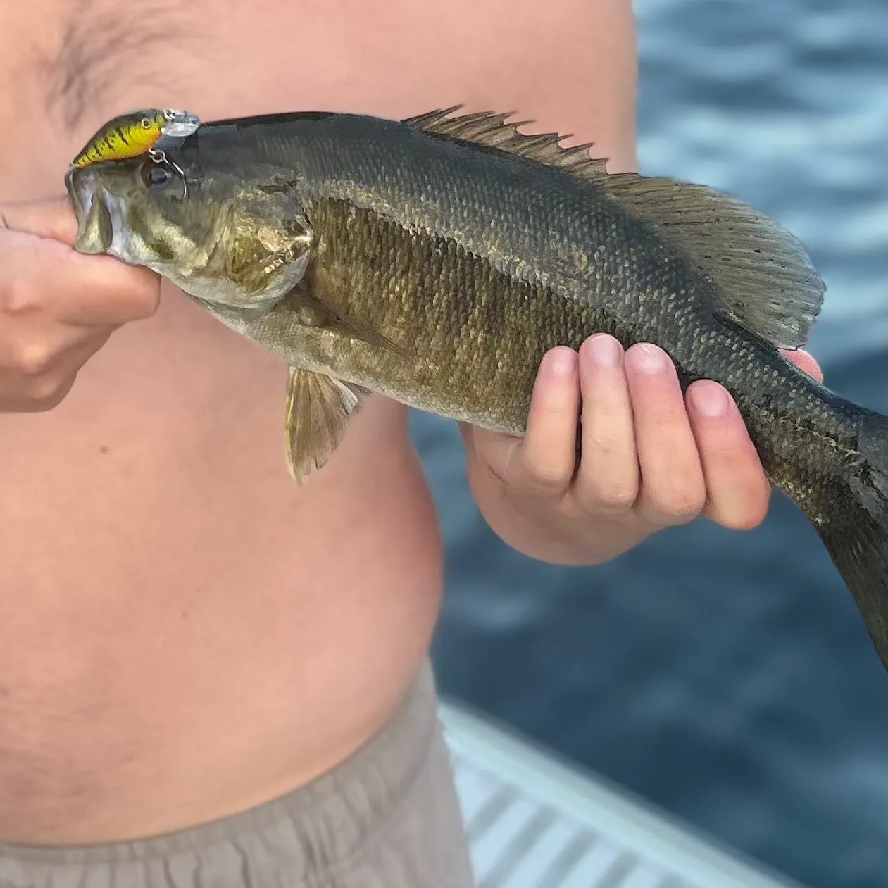 Smallmouth bass caught on Fishbrain