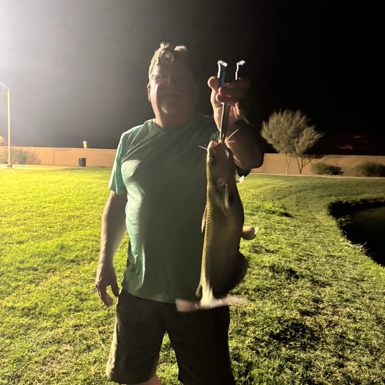 Channel catfish caught on Fishbrain