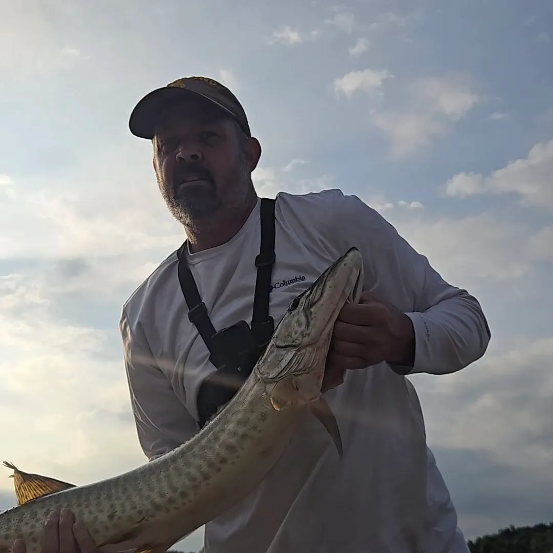 Muskie caught on Fishbrain