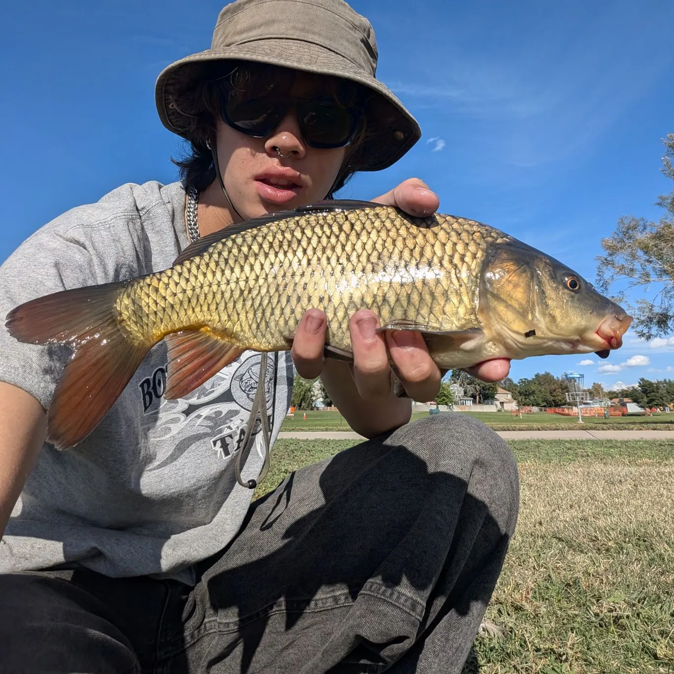 Common carp caught on Fishbrain