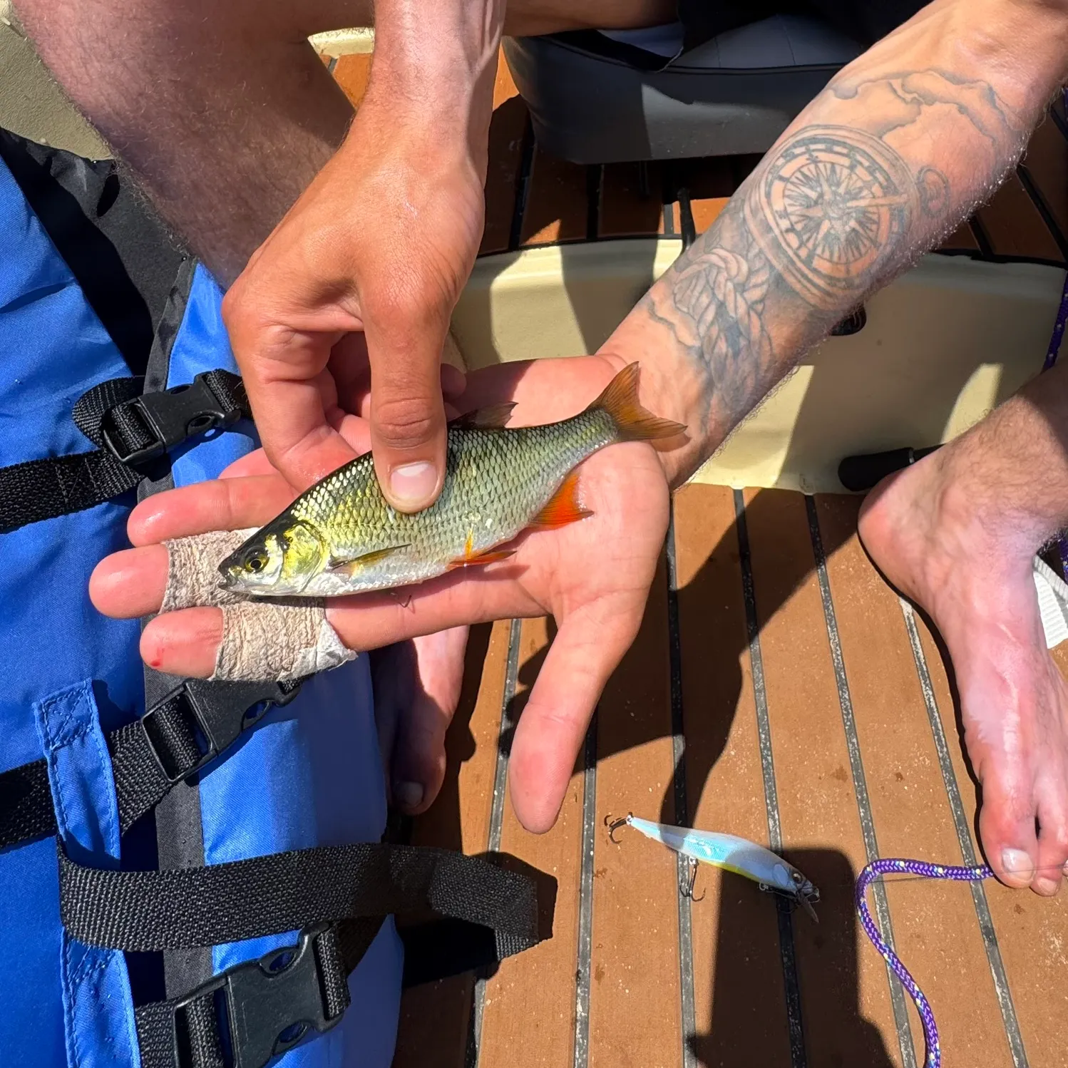 The most recent Quillback catches on Fishbrain