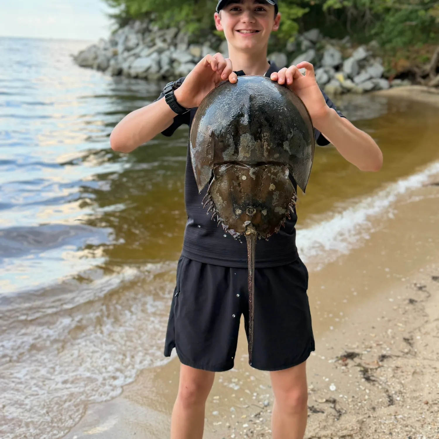 The most recent Palometa catches on Fishbrain