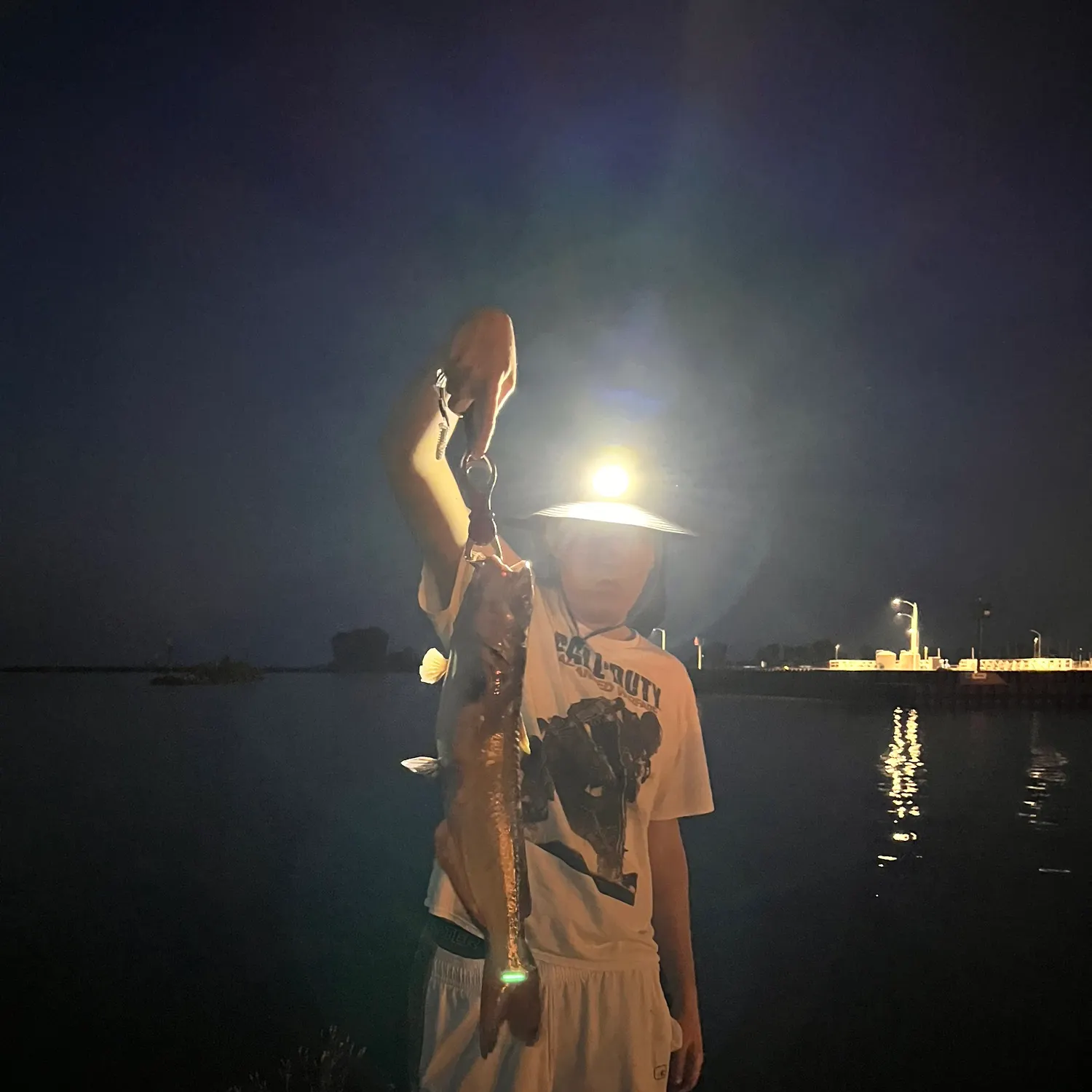 The most recent Shovelnose sturgeon catches on Fishbrain