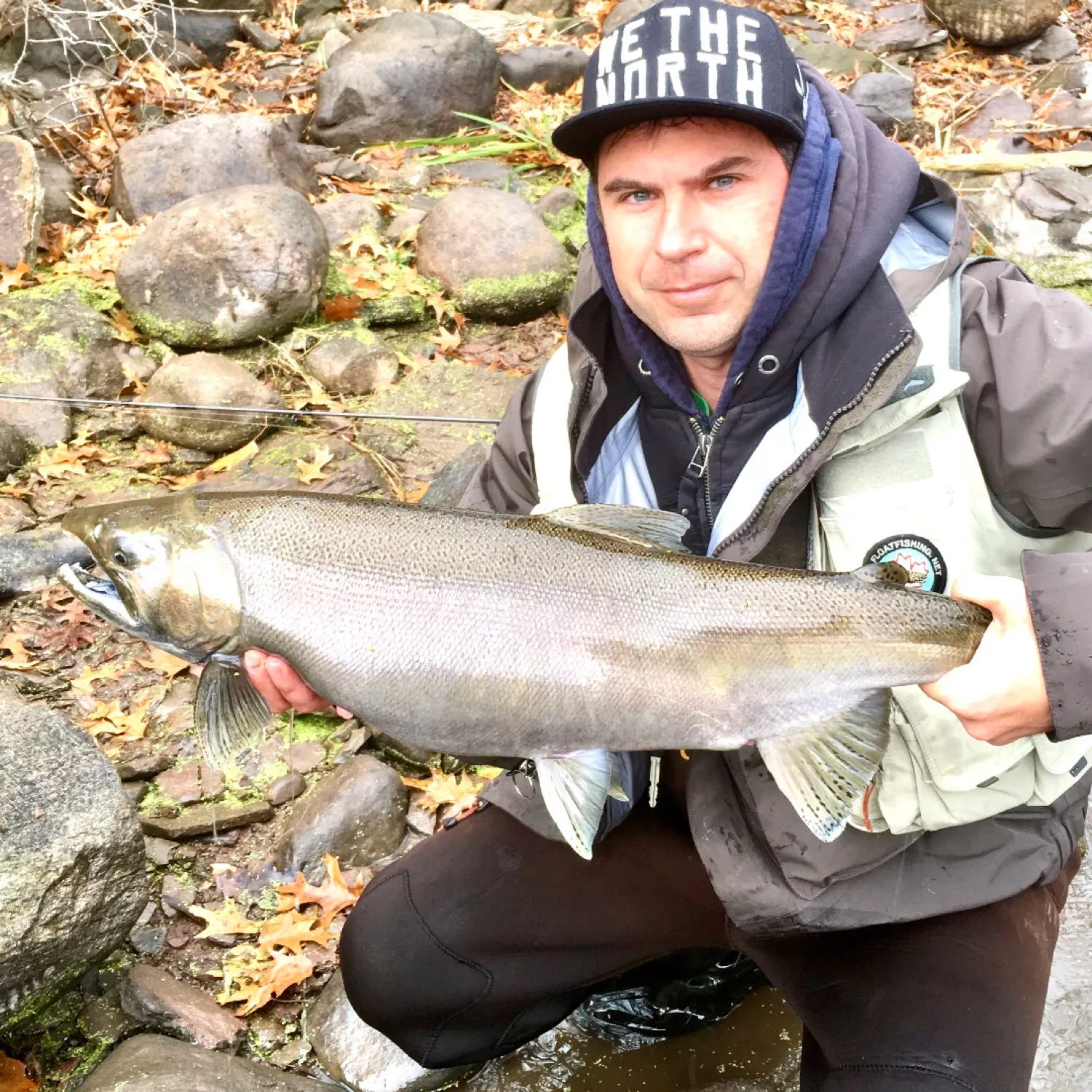 The most popular recent Coho salmon catch on Fishbrain