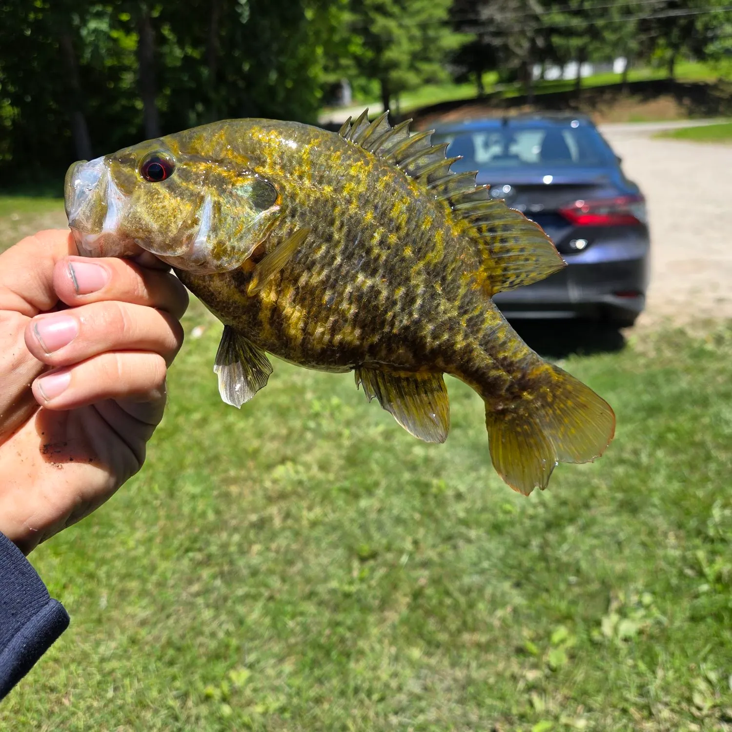 catch