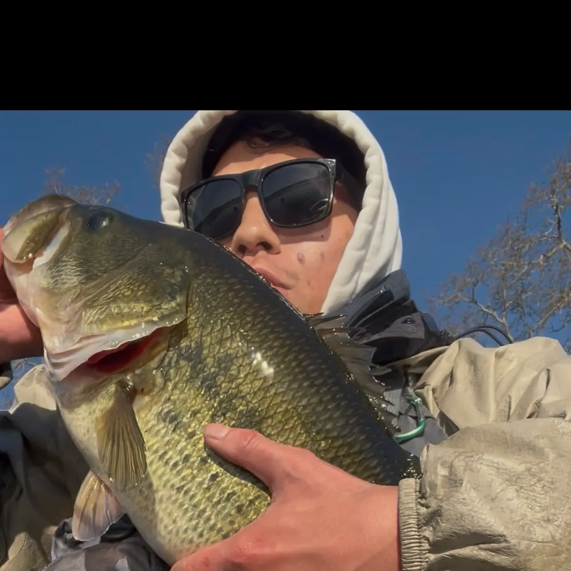 The most recent Largemouth bass catches on Fishbrain