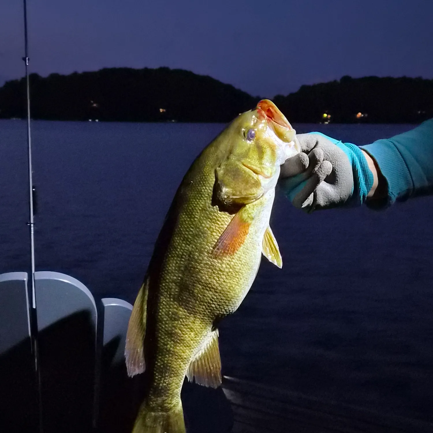 Smallmouth bass caught on Fishbrain