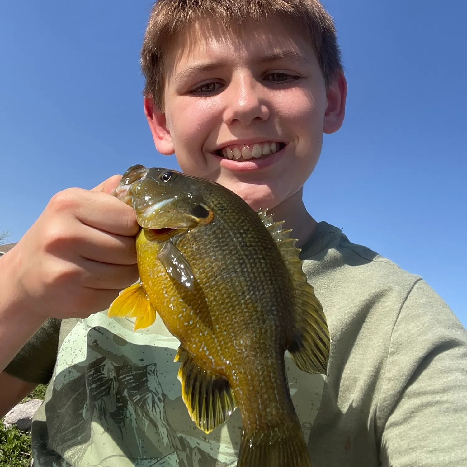 Green sunfish caught on Fishbrain