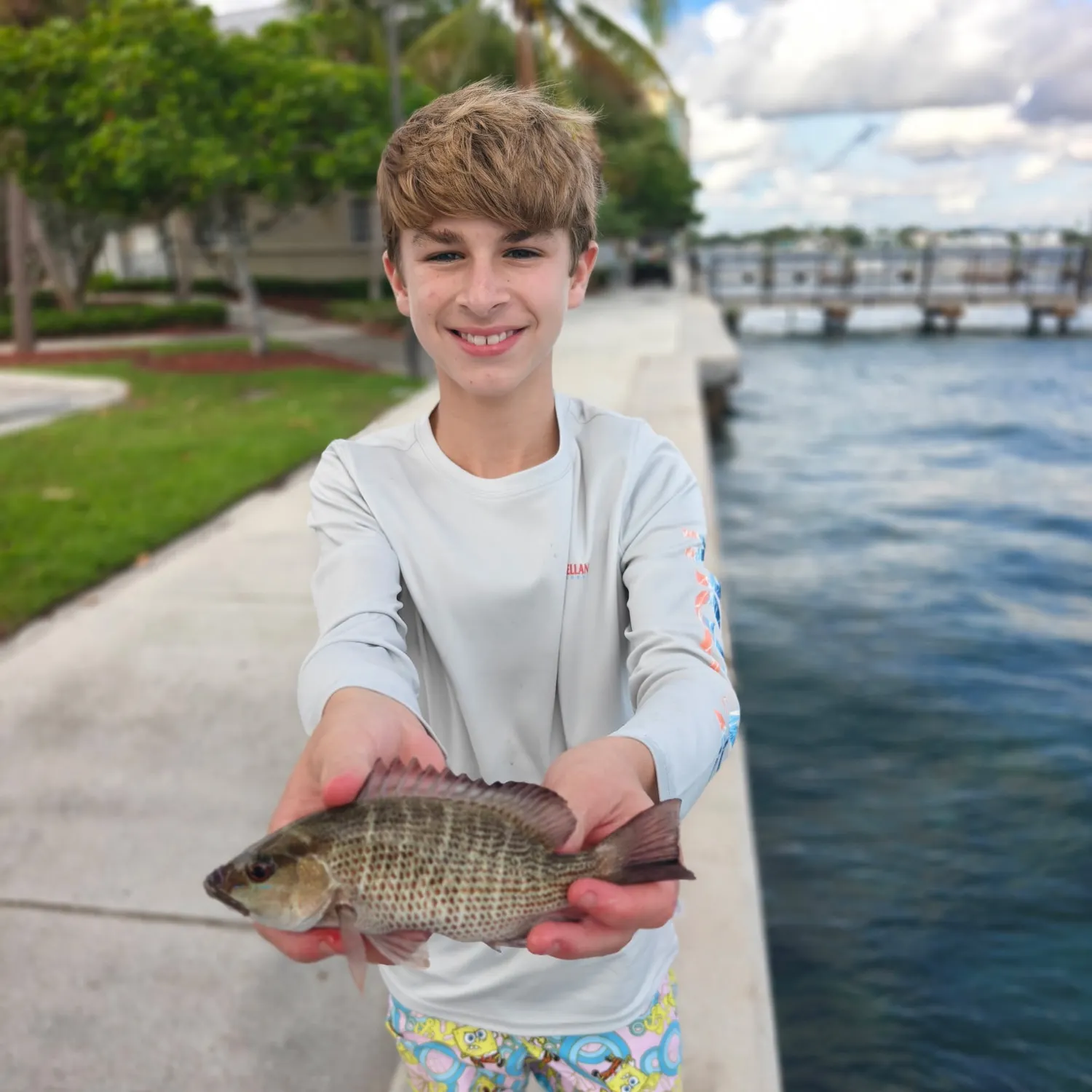 Mangrove snapper caught on Fishbrain