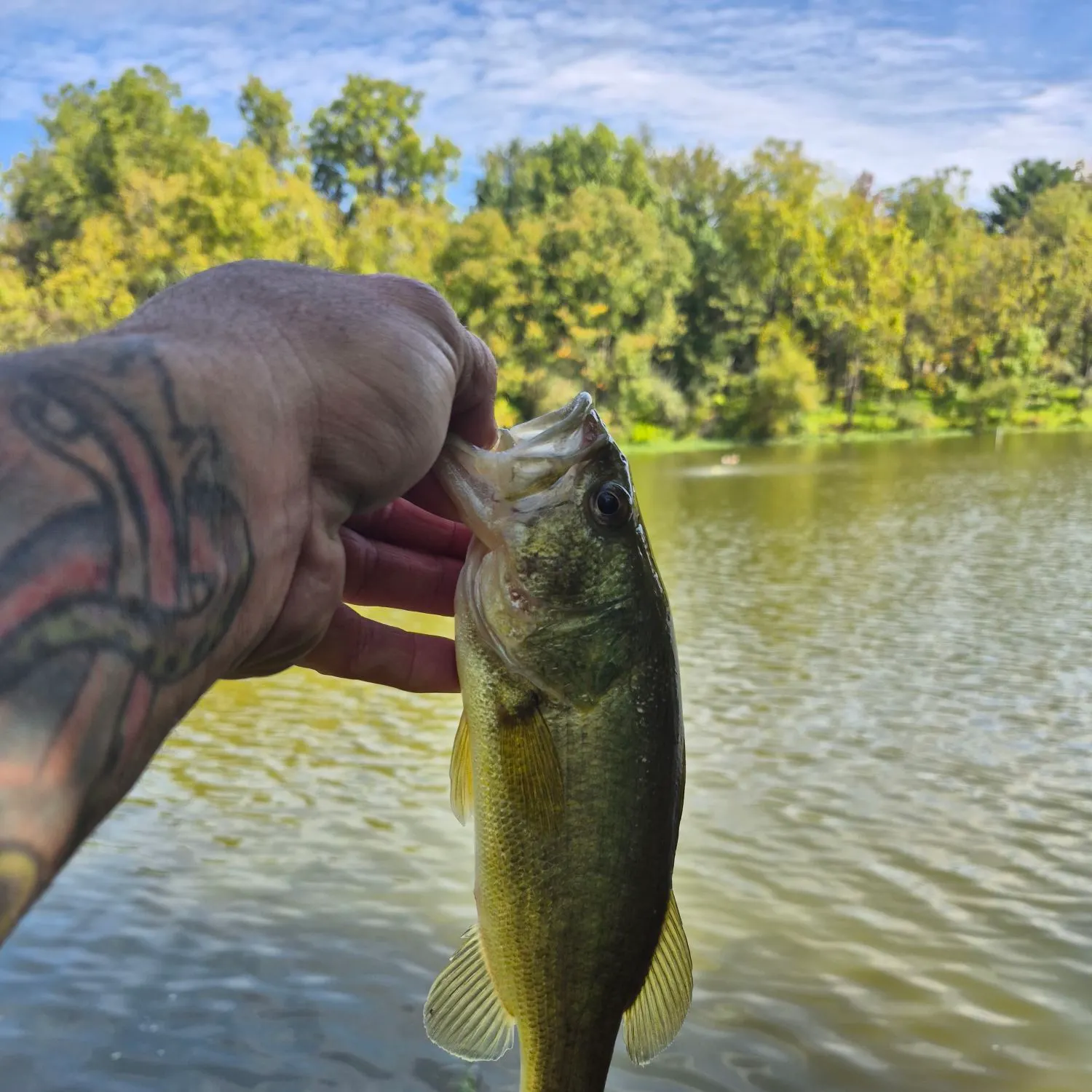 Fish caught on Fishbrain
