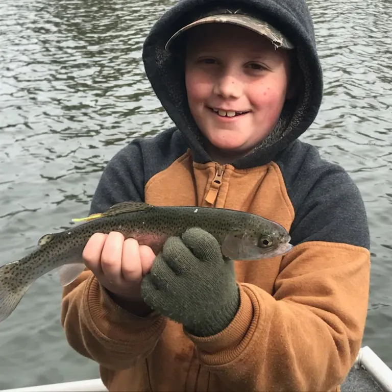 Rainbow trout caught on Fishbrain