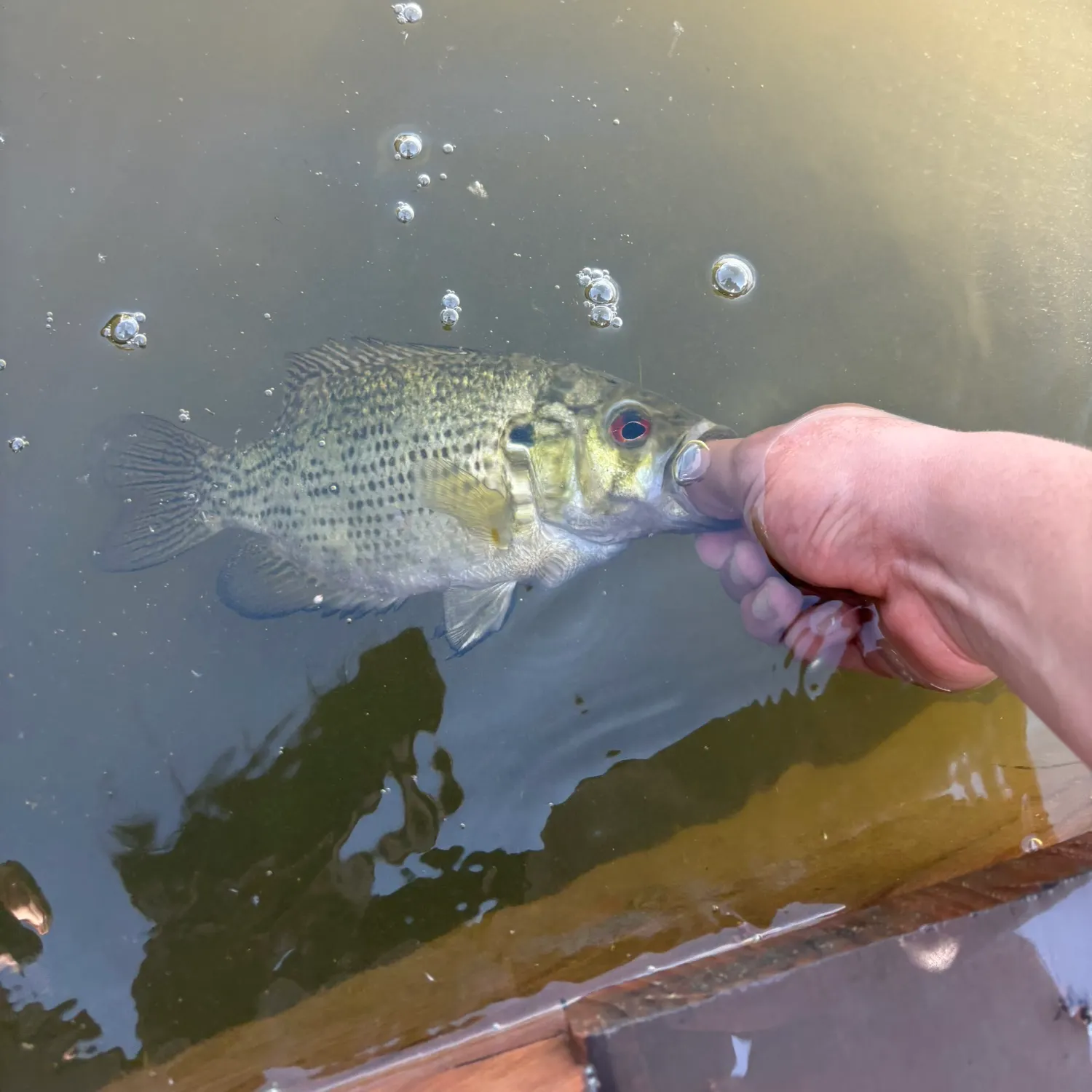 catch