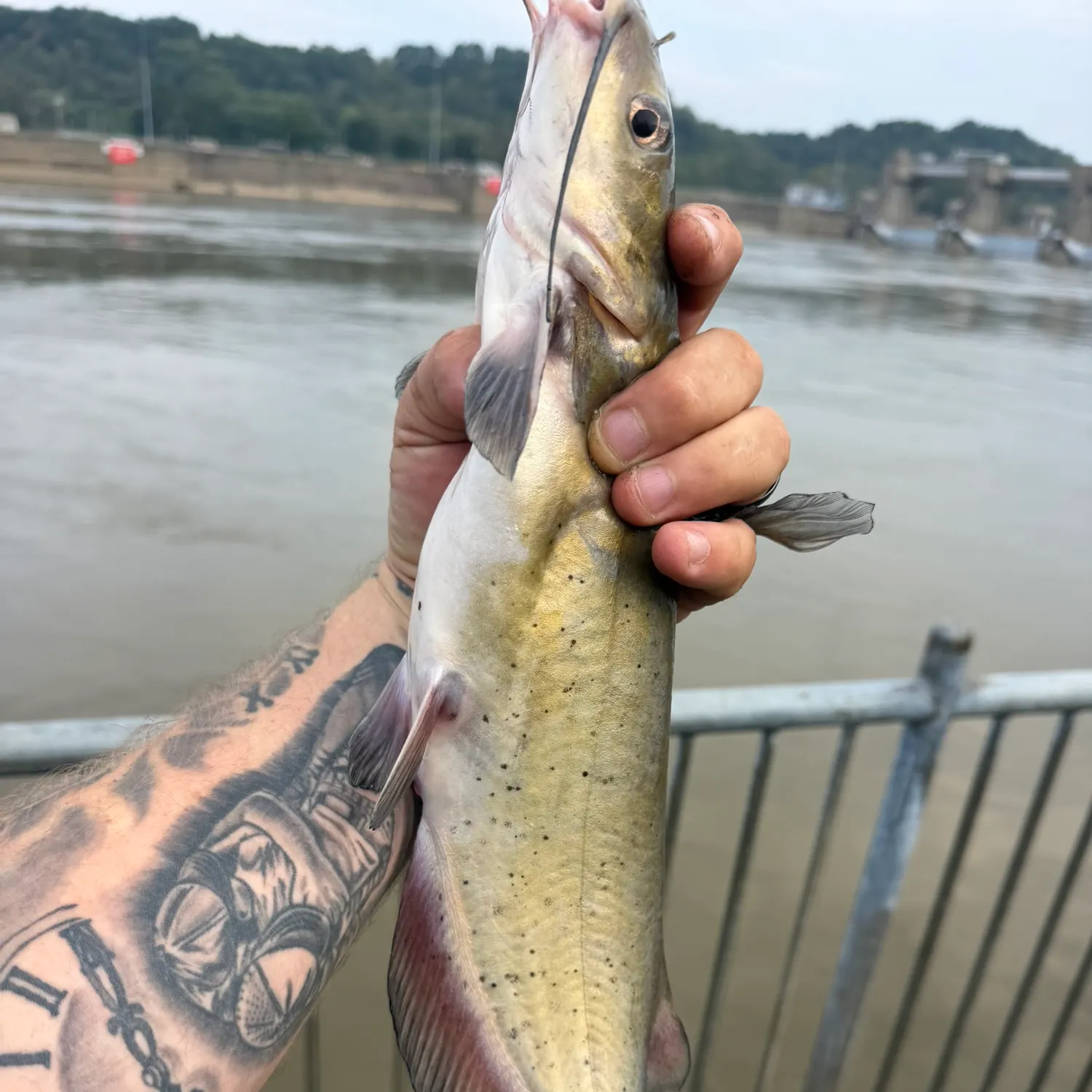 catch