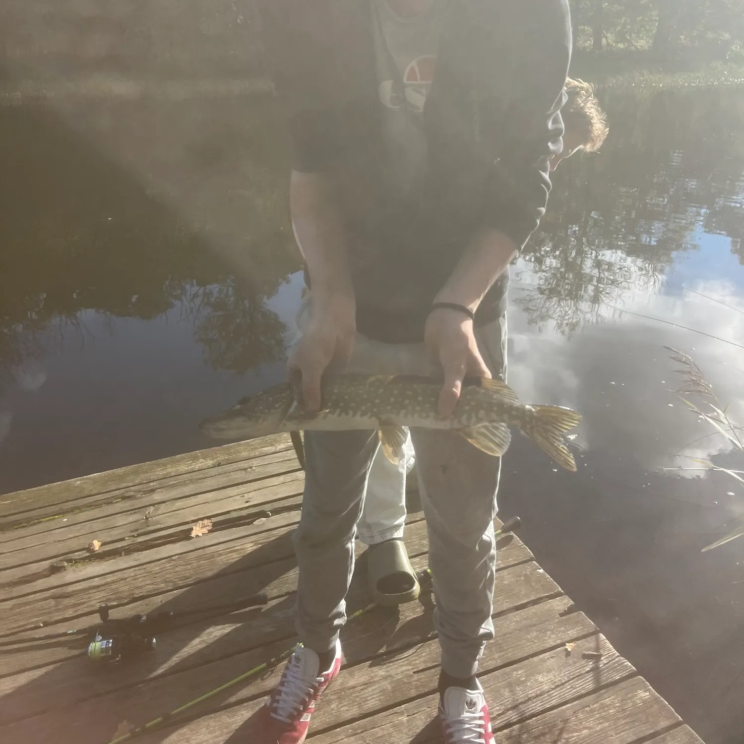 Northern pike caught on Fishbrain