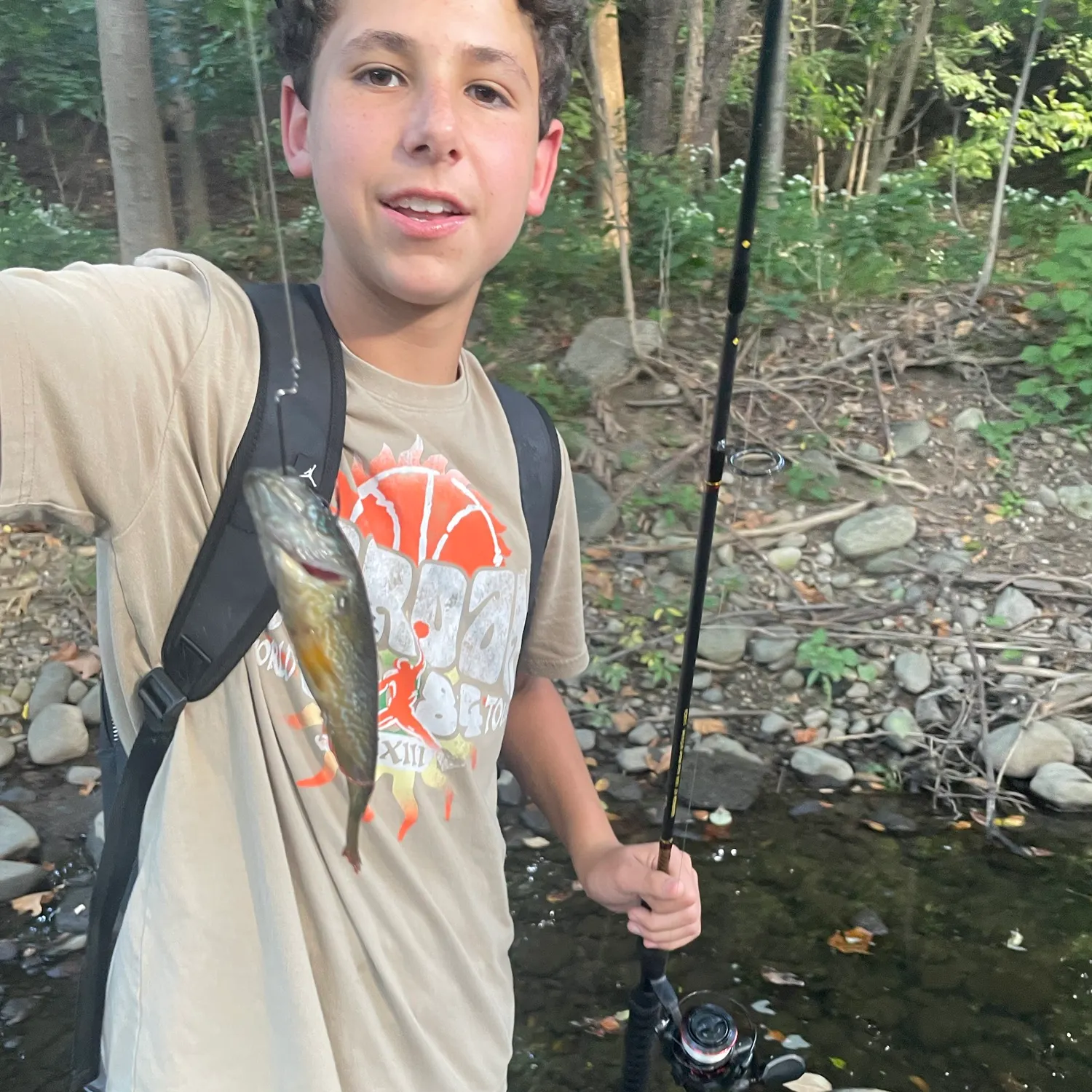 Bluegill caught on Fishbrain