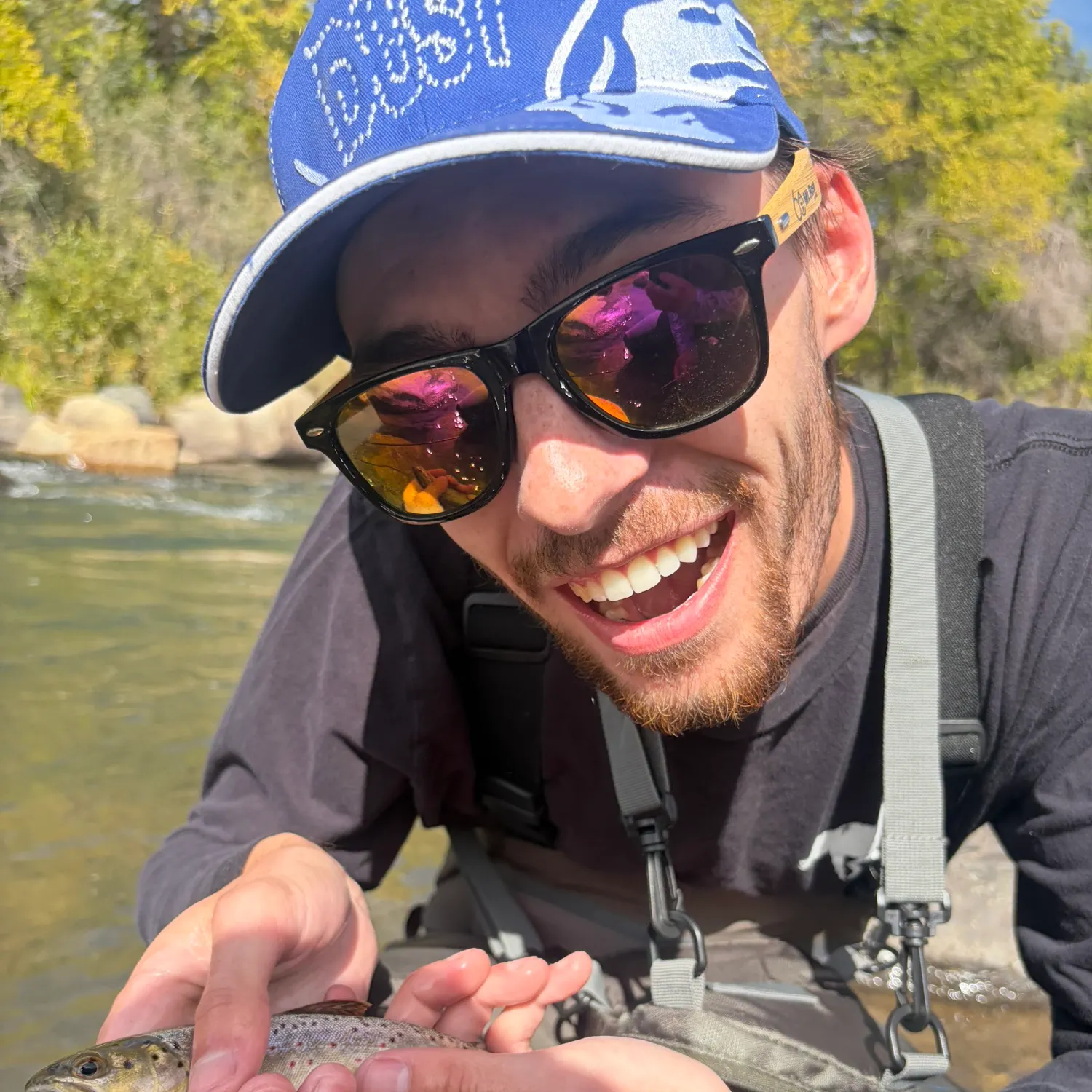 Brown trout caught on Fishbrain