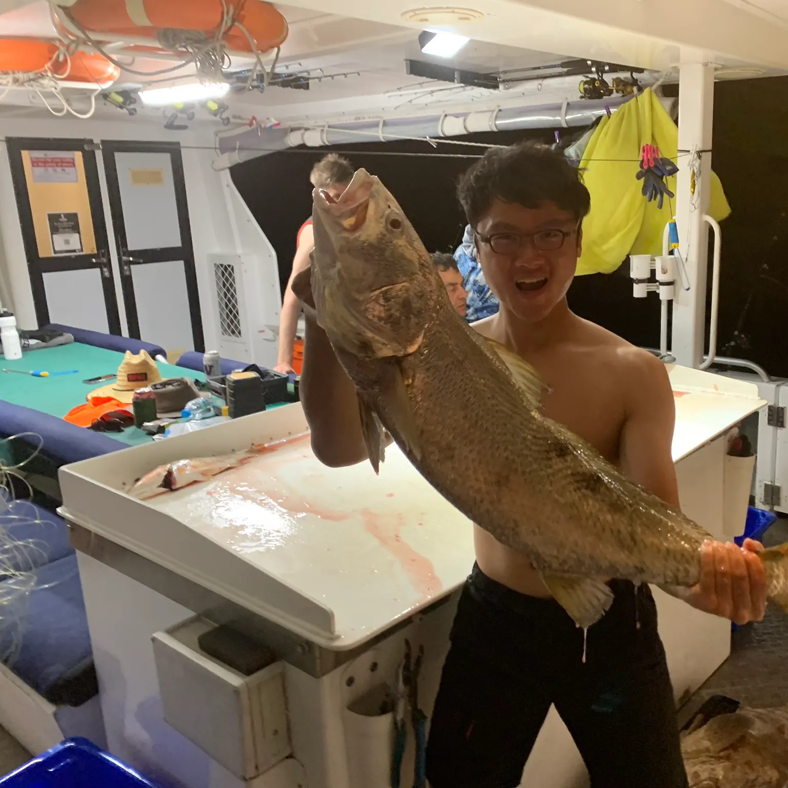 The most recent Westralian jewfish catches on Fishbrain