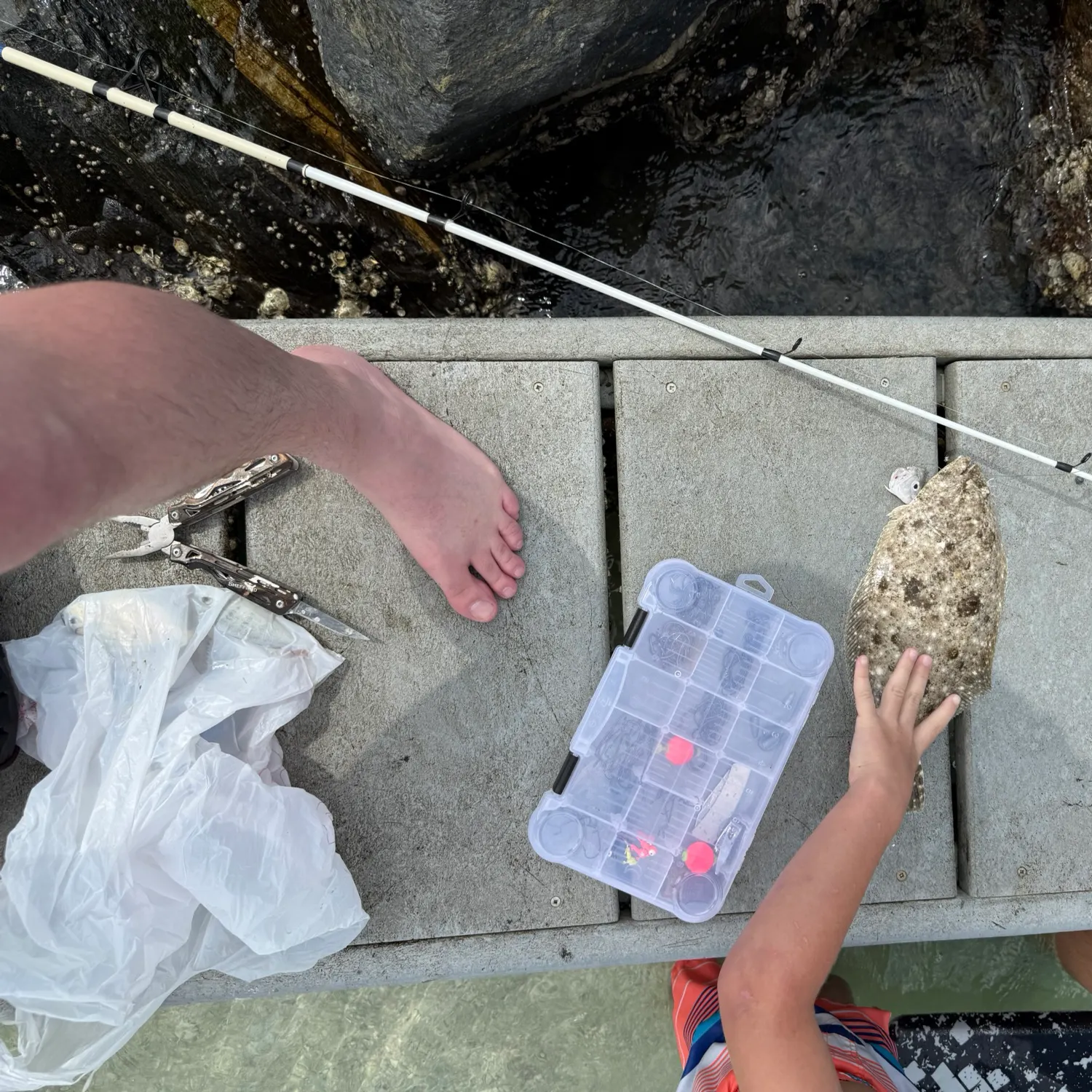 The most recent Gulf flounder catches on Fishbrain