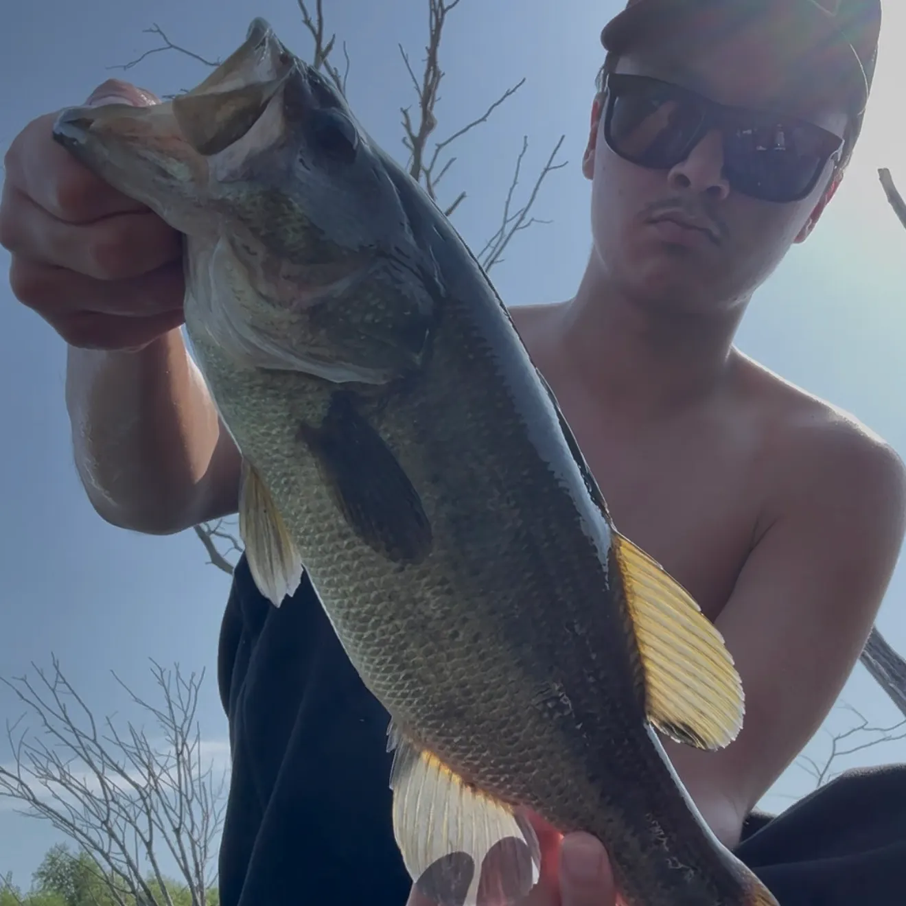 Largemouth bass caught on Fishbrain