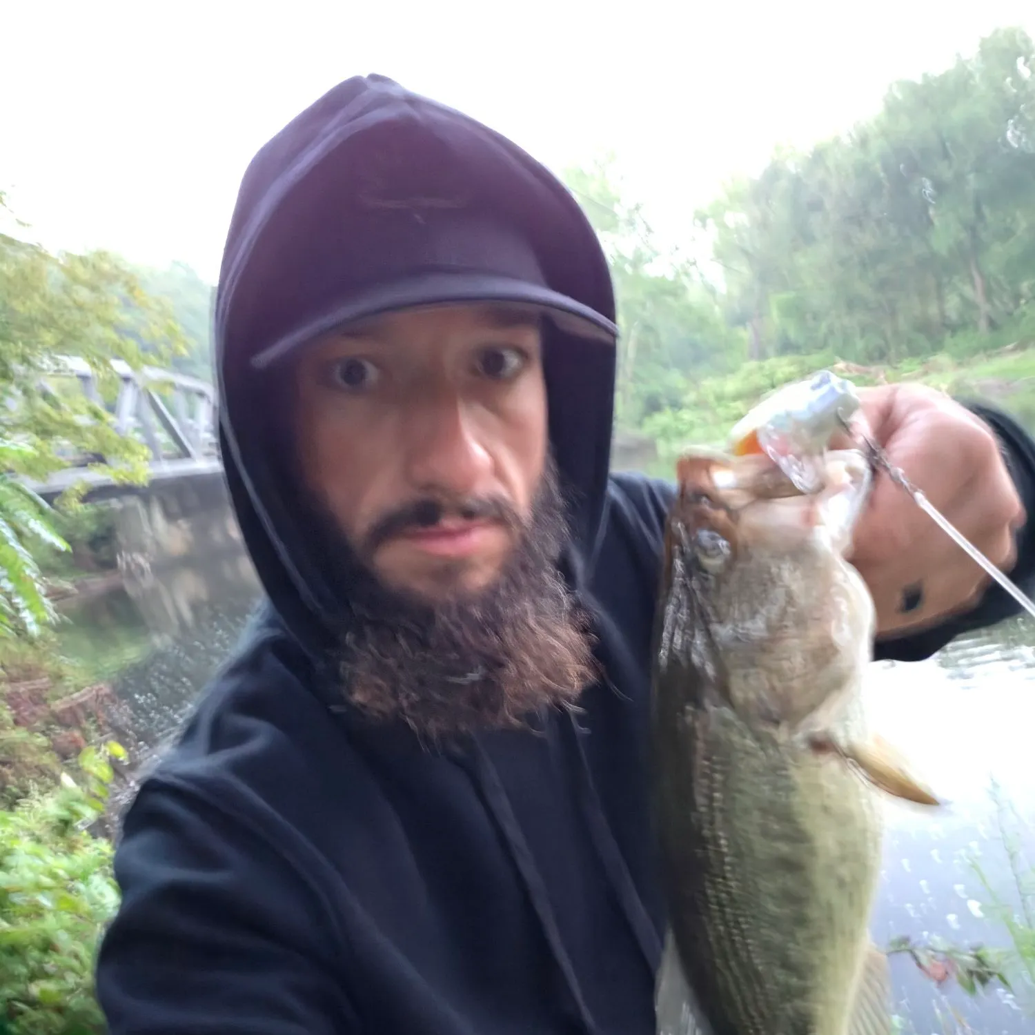 Largemouth bass caught on Fishbrain